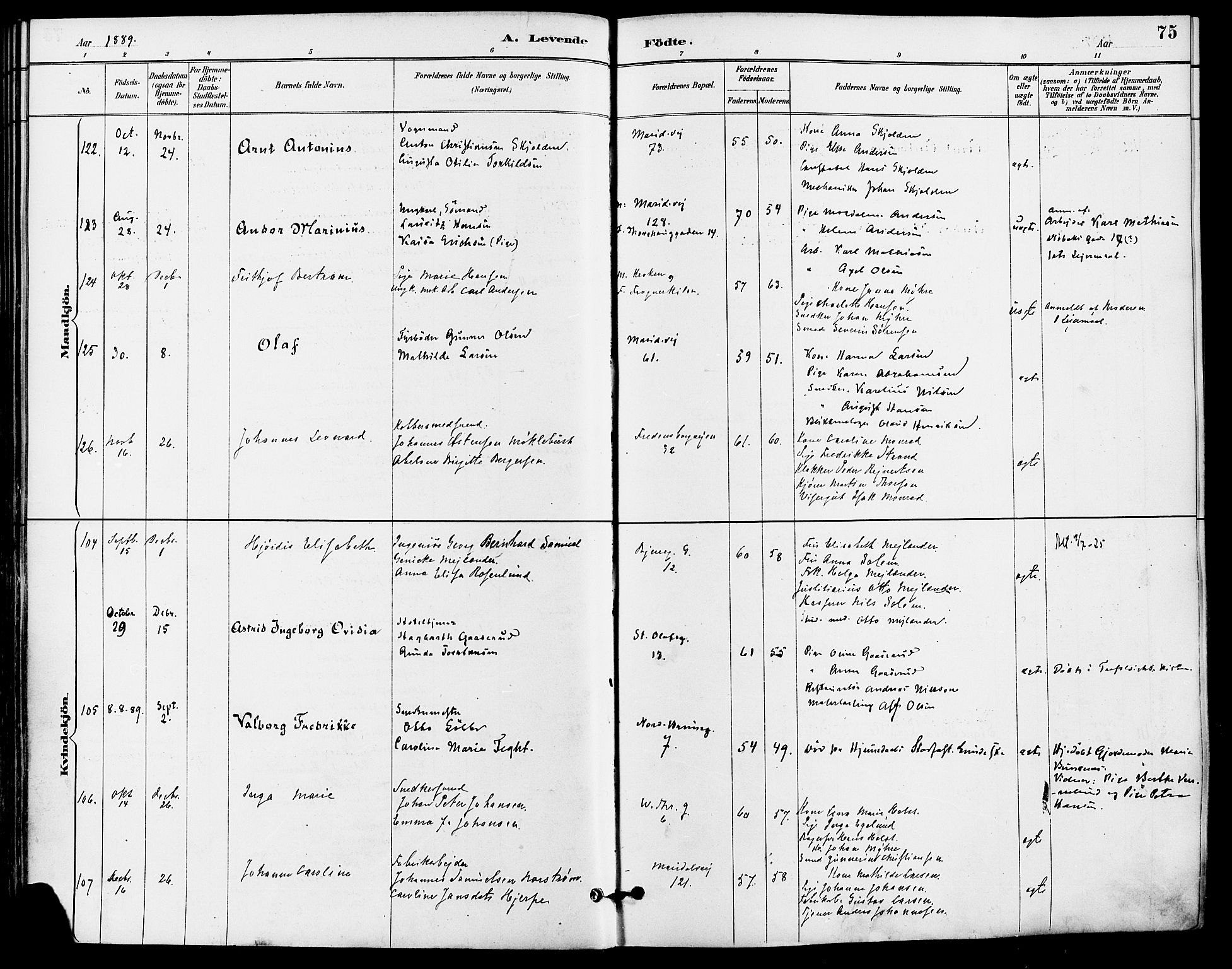 Gamle Aker prestekontor Kirkebøker, AV/SAO-A-10617a/F/L0008: Parish register (official) no. 8, 1887-1896, p. 75