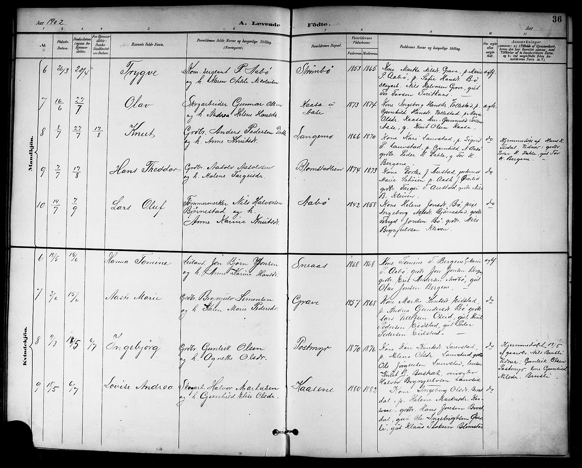 Drangedal kirkebøker, SAKO/A-258/G/Gb/L0002: Parish register (copy) no. II 2, 1895-1918, p. 36