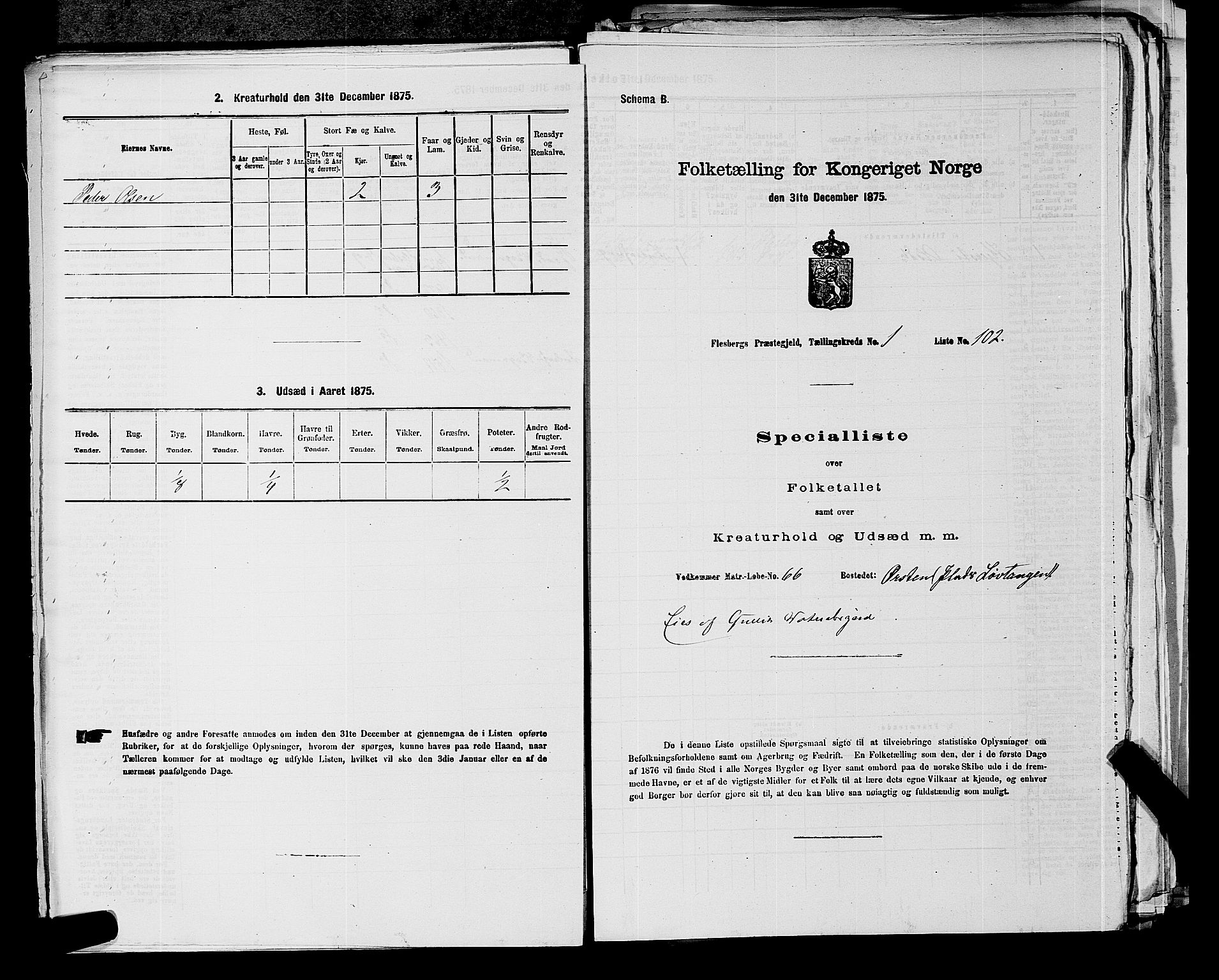 SAKO, 1875 census for 0631P Flesberg, 1875, p. 262