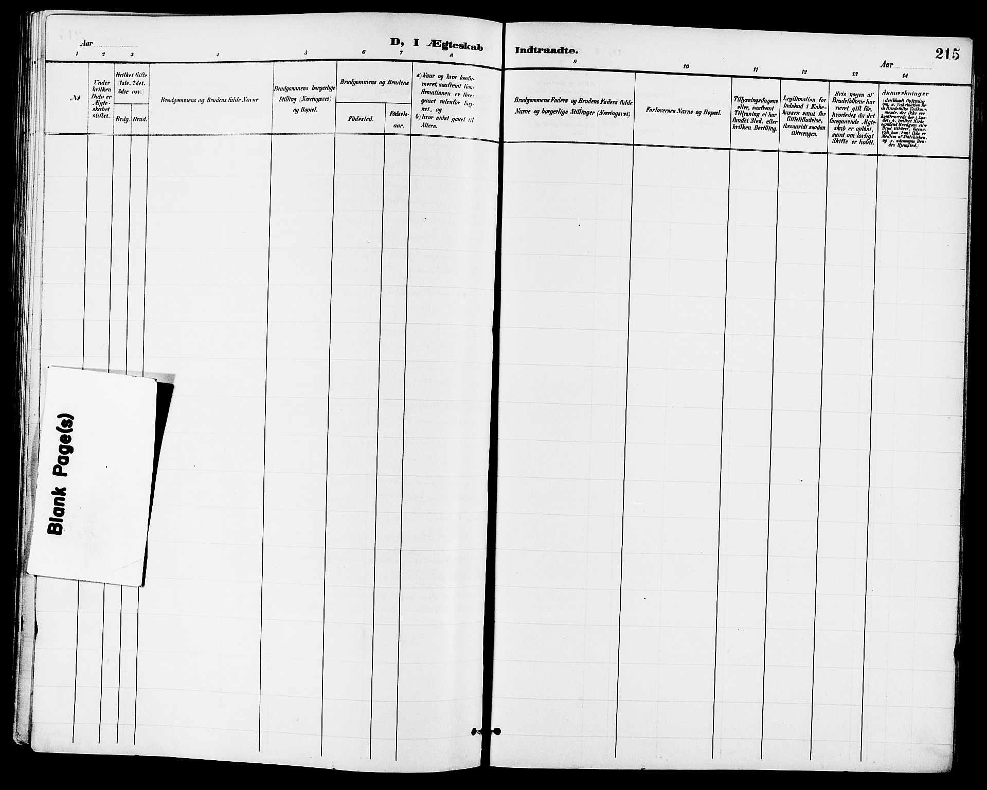 Eidanger kirkebøker, AV/SAKO-A-261/G/Ga/L0003: Parish register (copy) no. 3, 1893-1911, p. 215