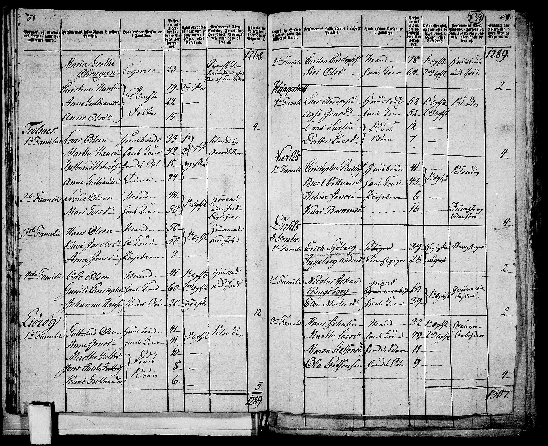 RA, 1801 census for 0234P Gjerdrum, 1801, p. 738b-739a