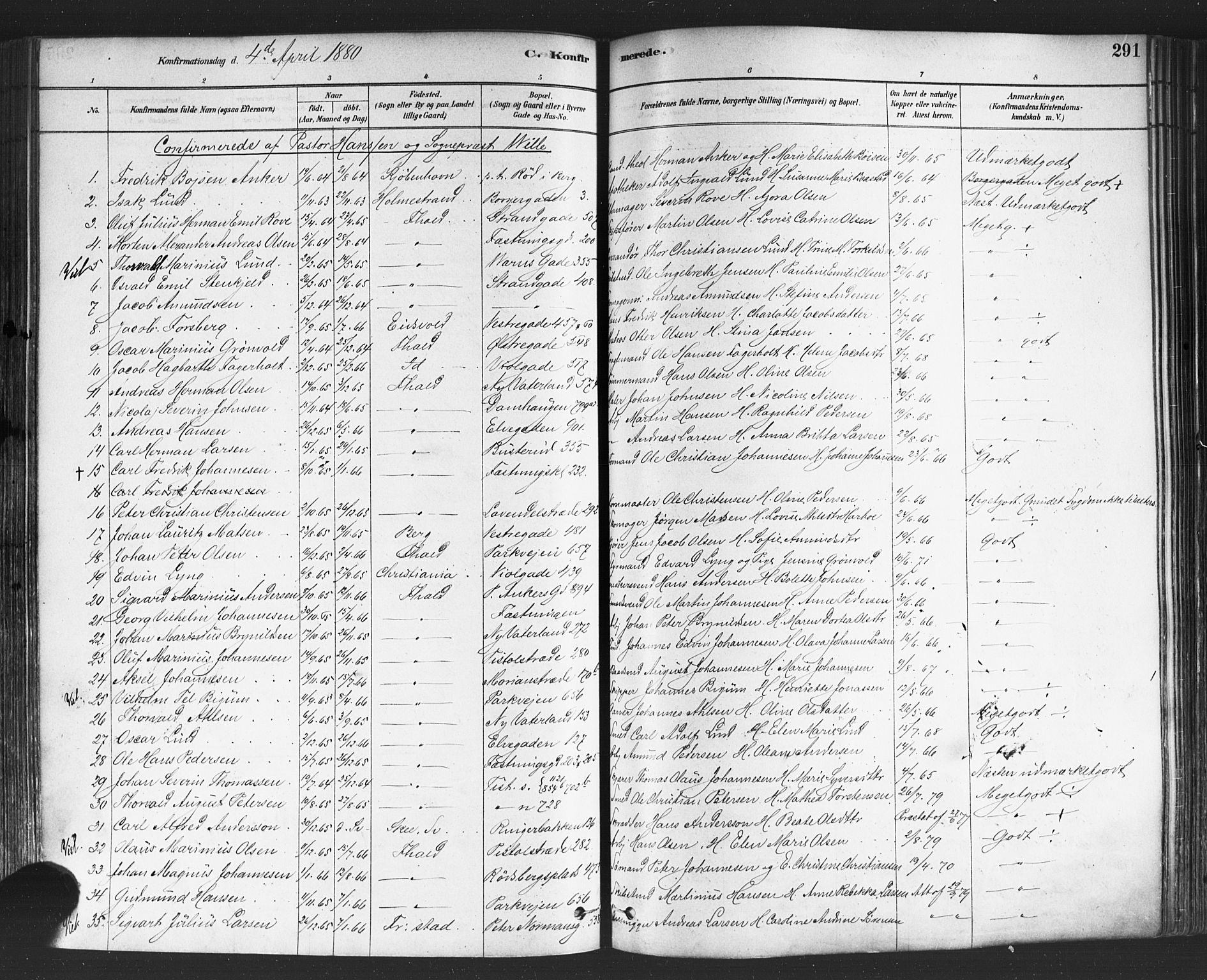 Halden prestekontor Kirkebøker, AV/SAO-A-10909/F/Fa/L0011: Parish register (official) no. I 11, 1878-1889, p. 291