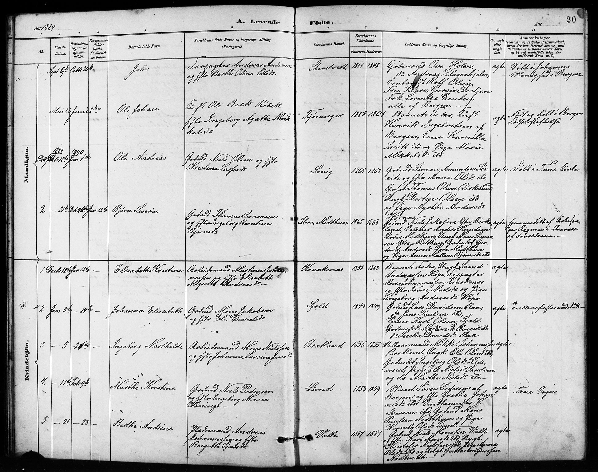 Birkeland Sokneprestembete, SAB/A-74601/H/Hab: Parish register (copy) no. A 4, 1888-1897, p. 20