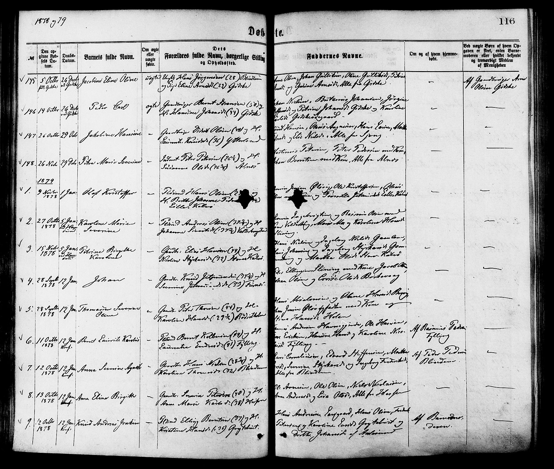 Ministerialprotokoller, klokkerbøker og fødselsregistre - Møre og Romsdal, AV/SAT-A-1454/528/L0400: Parish register (official) no. 528A11, 1871-1879, p. 116