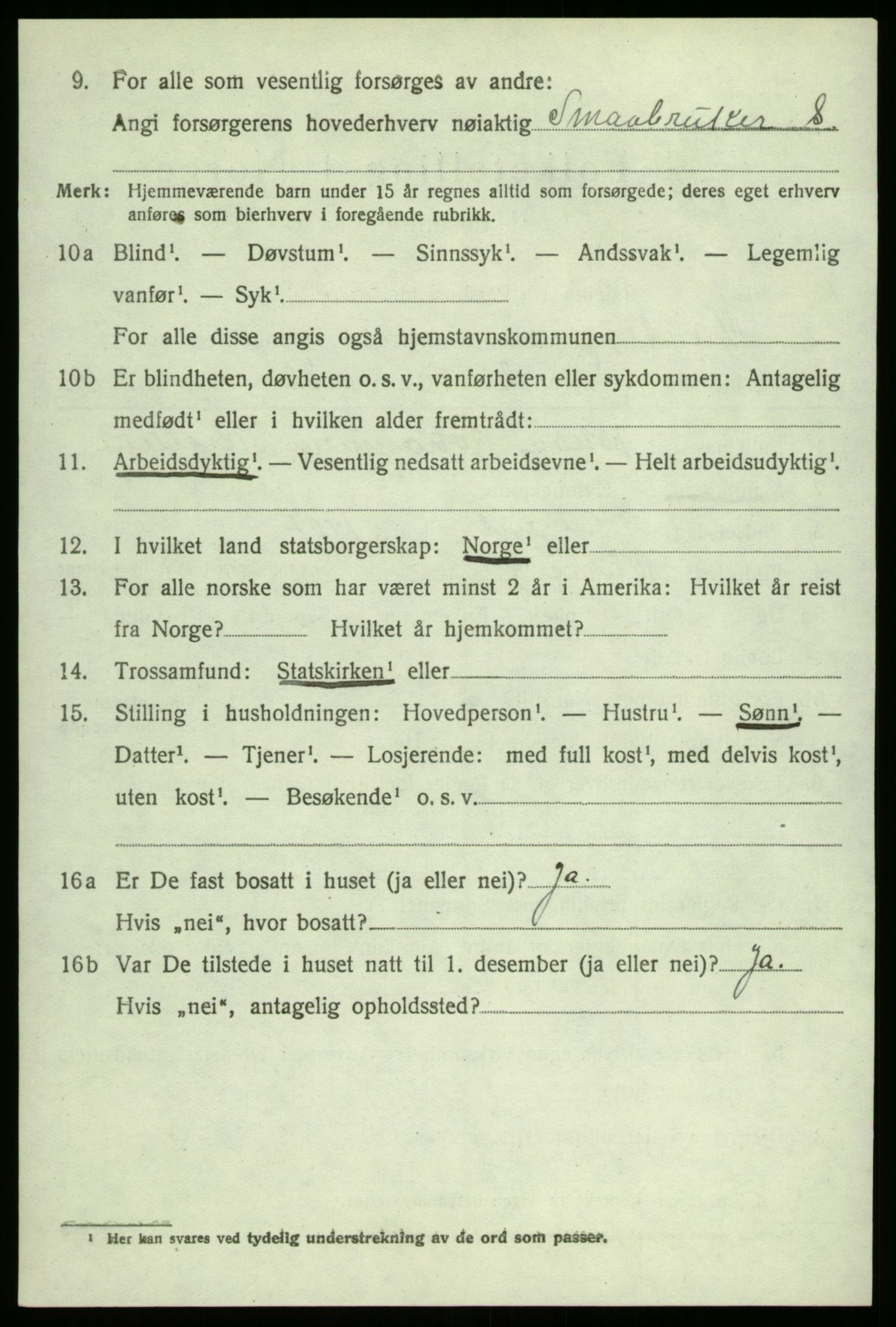SAO, 1920 census for Varteig, 1920, p. 1954