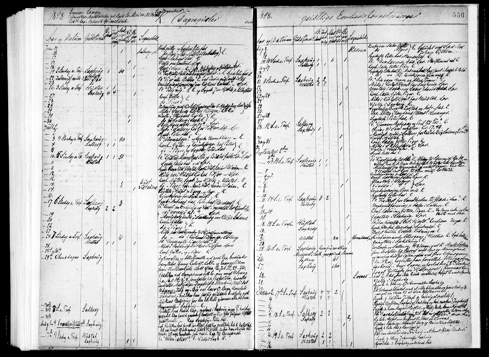 Ministerialprotokoller, klokkerbøker og fødselsregistre - Nord-Trøndelag, AV/SAT-A-1458/730/L0285: Parish register (official) no. 730A10, 1879-1914, p. 556