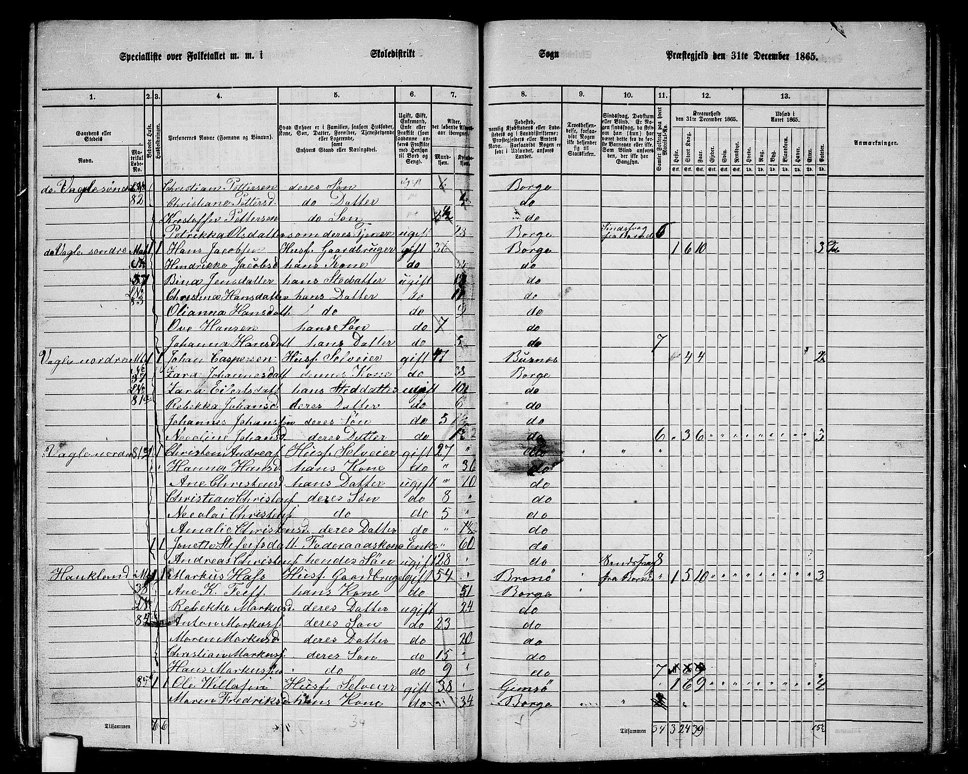 RA, 1865 census for Borge, 1865, p. 60