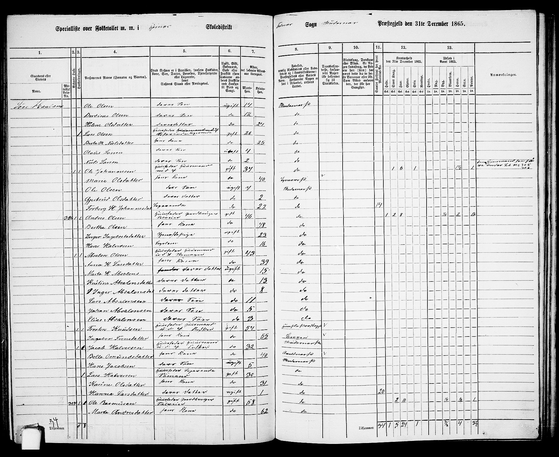 RA, 1865 census for Skudenes, 1865, p. 158