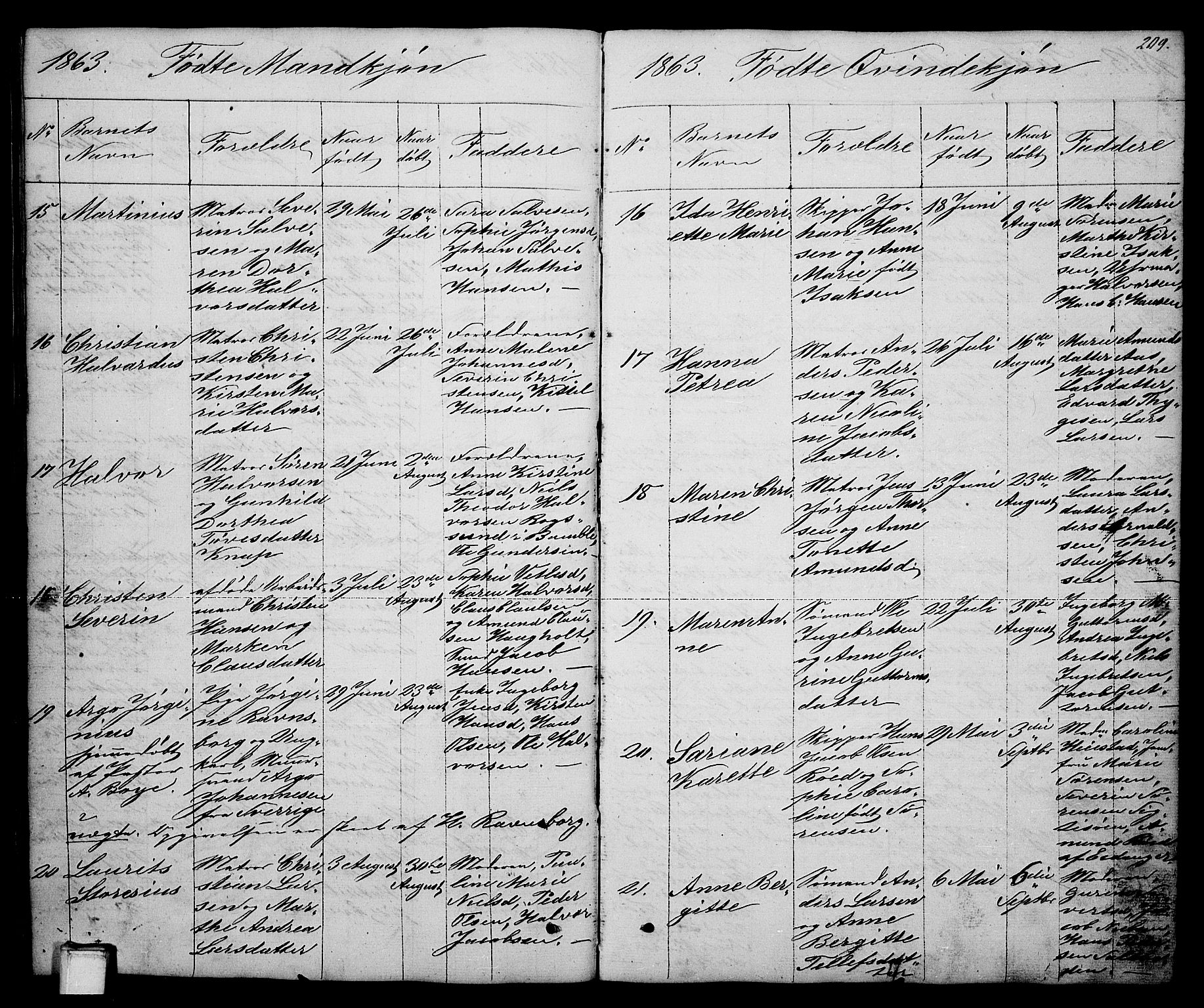 Brevik kirkebøker, SAKO/A-255/G/Ga/L0002: Parish register (copy) no. 2, 1846-1865, p. 209
