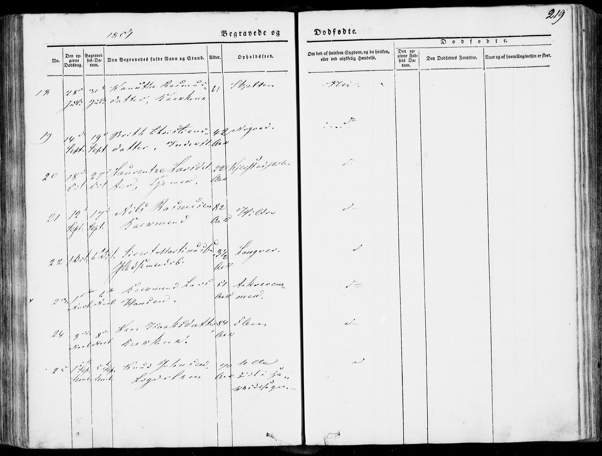 Ministerialprotokoller, klokkerbøker og fødselsregistre - Møre og Romsdal, AV/SAT-A-1454/536/L0497: Parish register (official) no. 536A06, 1845-1865, p. 219