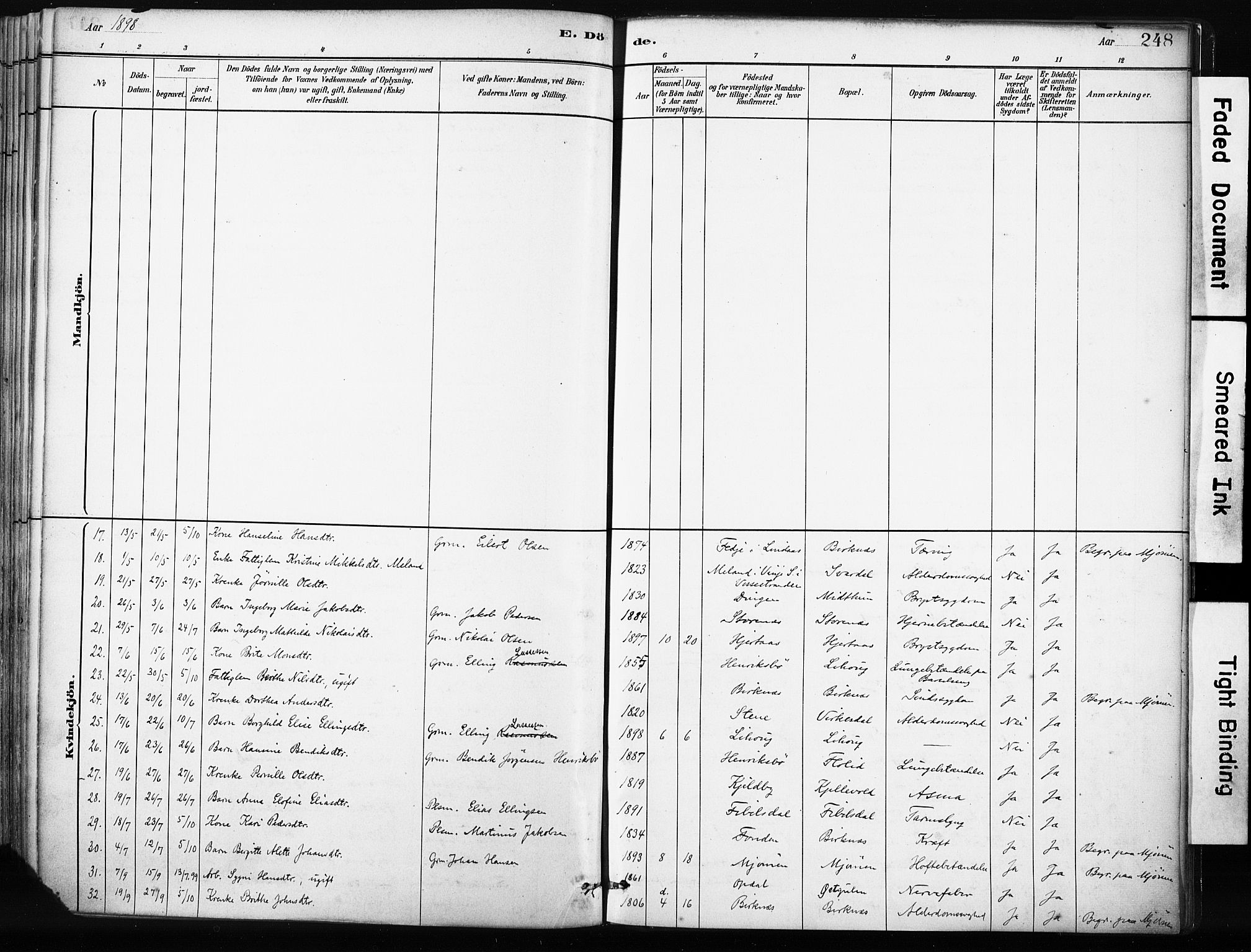 Gulen sokneprestembete, AV/SAB-A-80201/H/Haa/Haab/L0001: Parish register (official) no. B 1, 1881-1905, p. 248