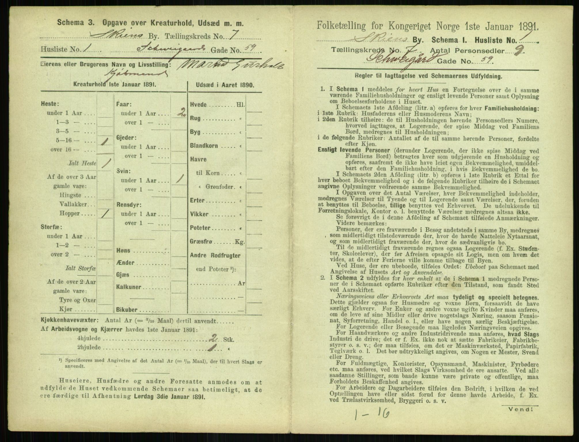 RA, 1891 census for 0806 Skien, 1891, p. 308