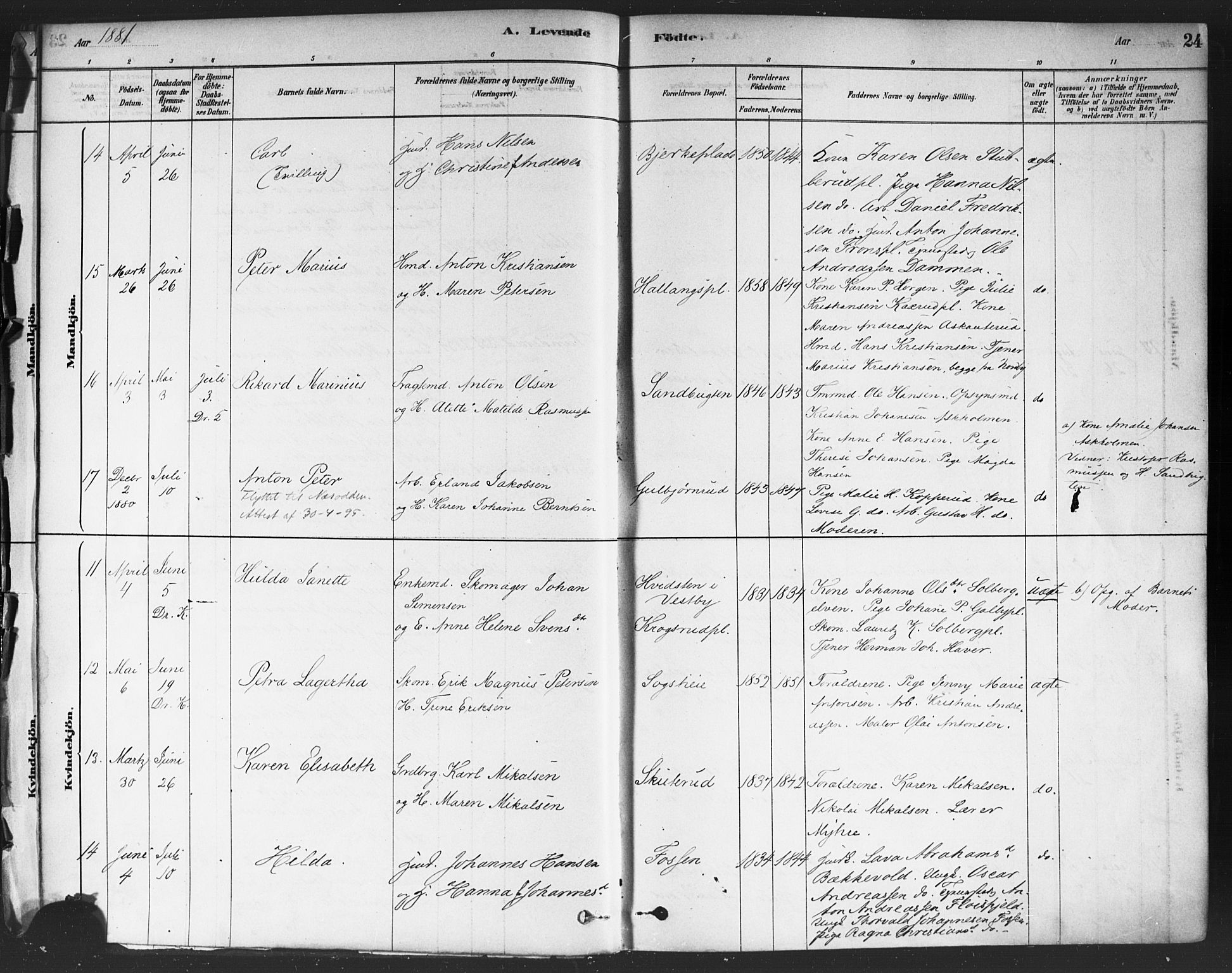 Drøbak prestekontor Kirkebøker, SAO/A-10142a/F/Fc/L0002: Parish register (official) no. III 2, 1878-1891, p. 24