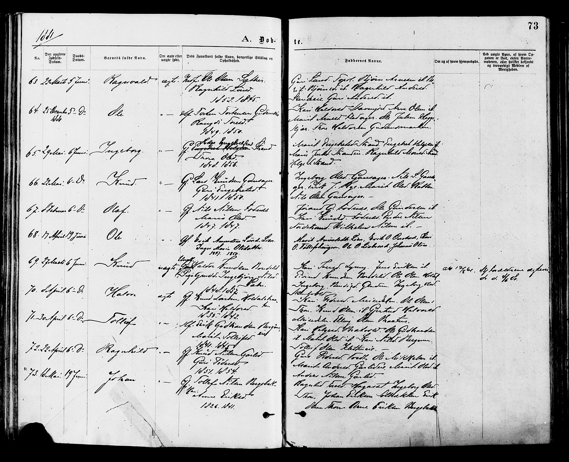Nord-Aurdal prestekontor, SAH/PREST-132/H/Ha/Haa/L0009: Parish register (official) no. 9, 1876-1882, p. 73