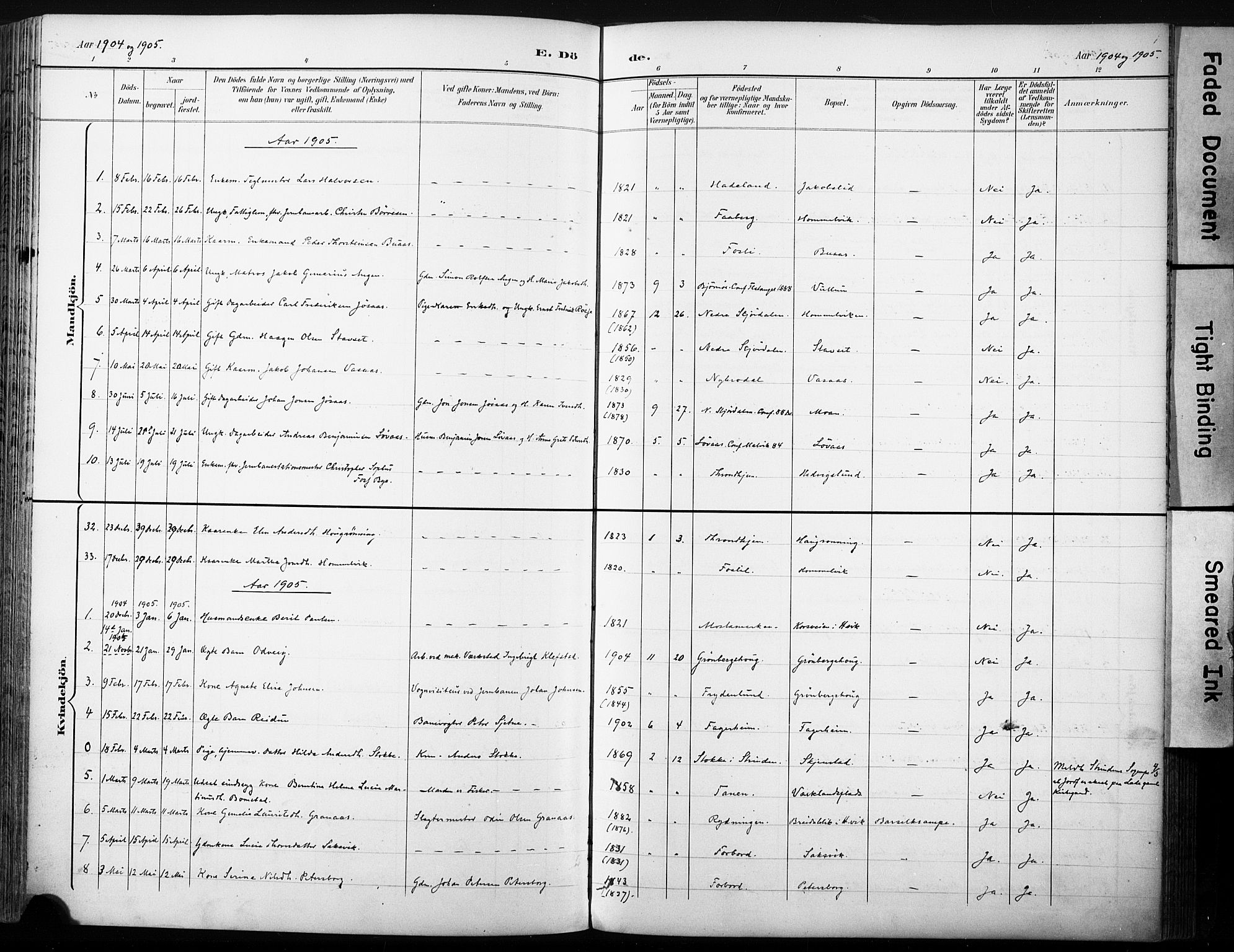 Ministerialprotokoller, klokkerbøker og fødselsregistre - Sør-Trøndelag, AV/SAT-A-1456/616/L0411: Parish register (official) no. 616A08, 1894-1906