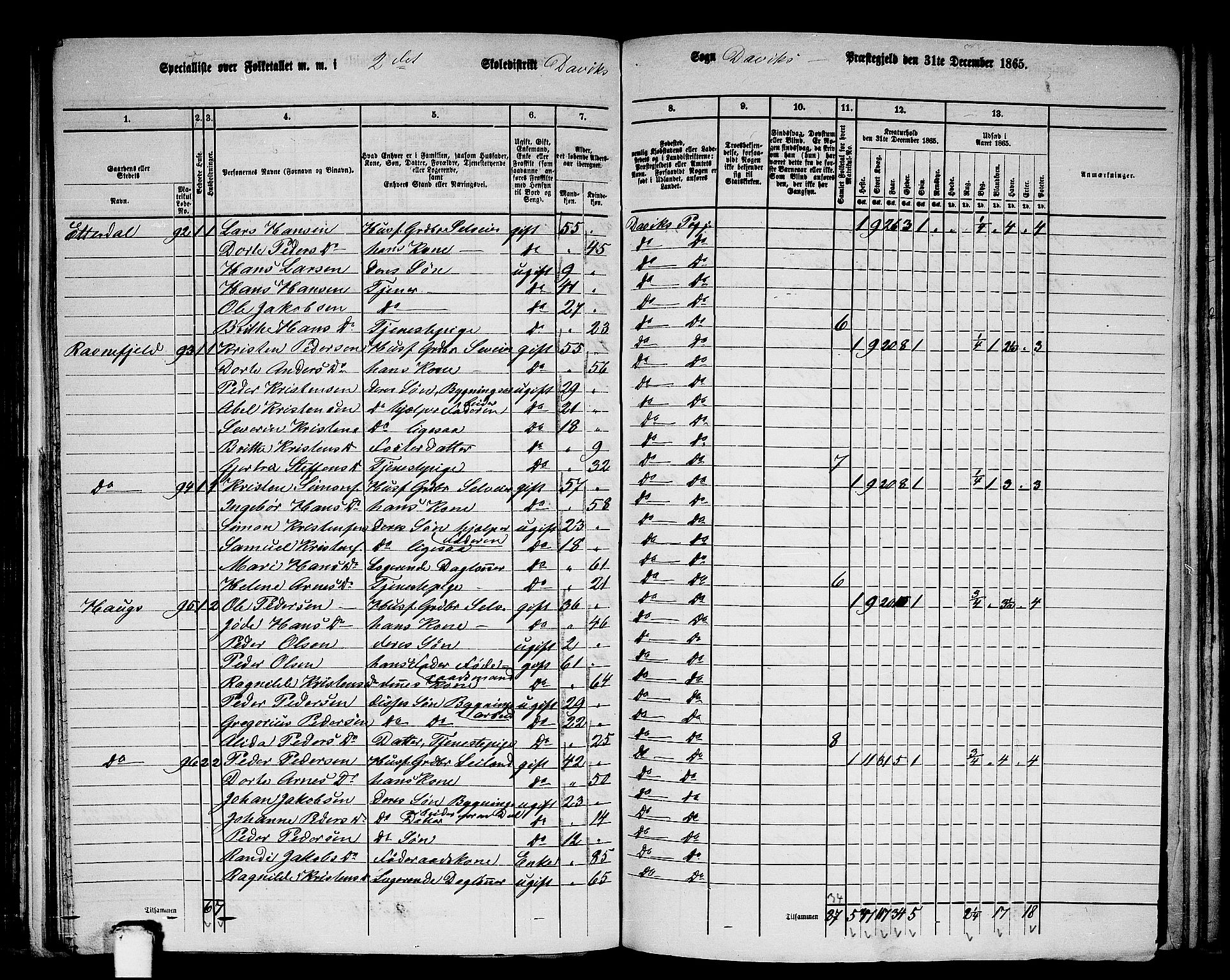 RA, 1865 census for Davik, 1865, p. 41