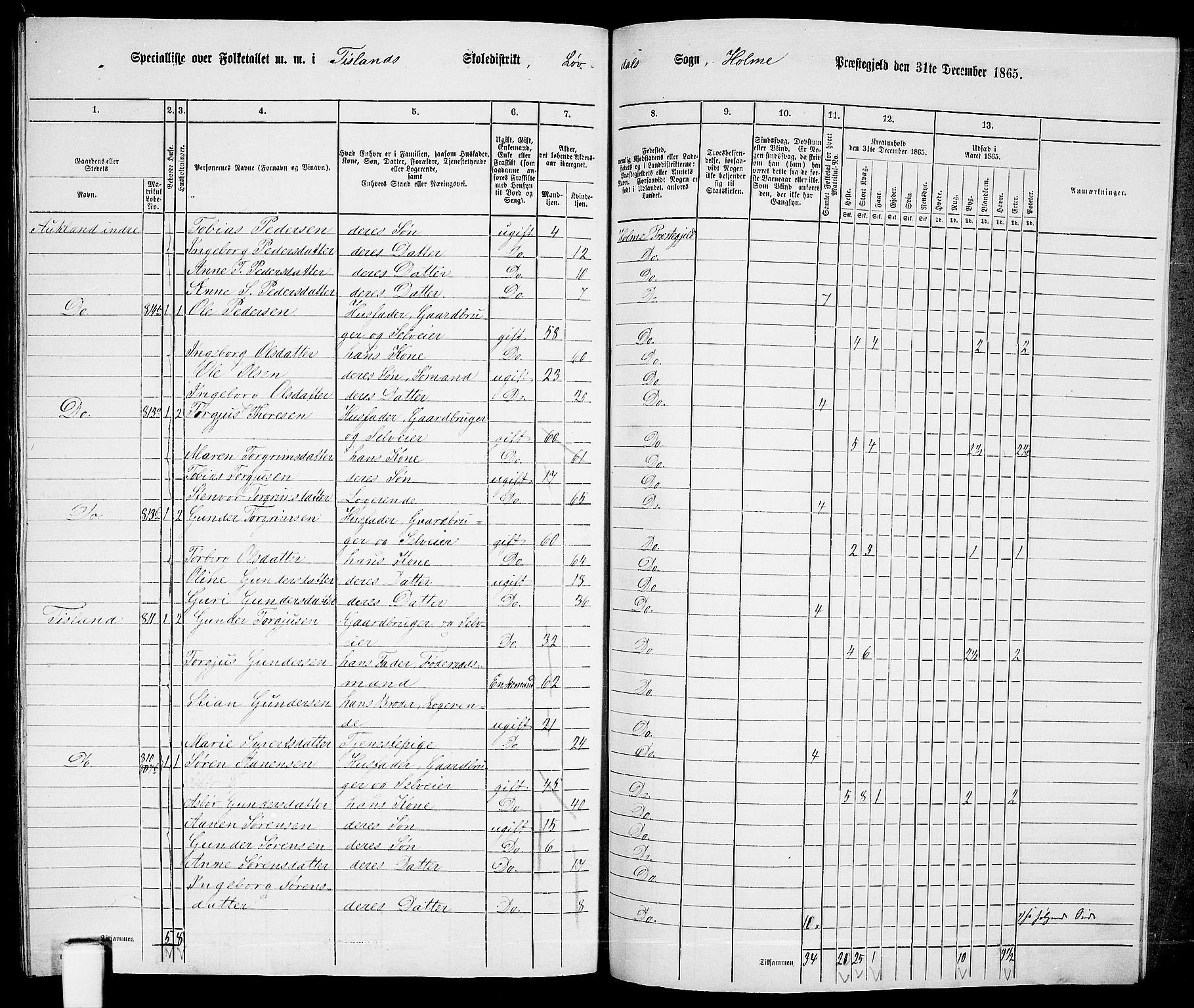 RA, 1865 census for Holum, 1865, p. 164