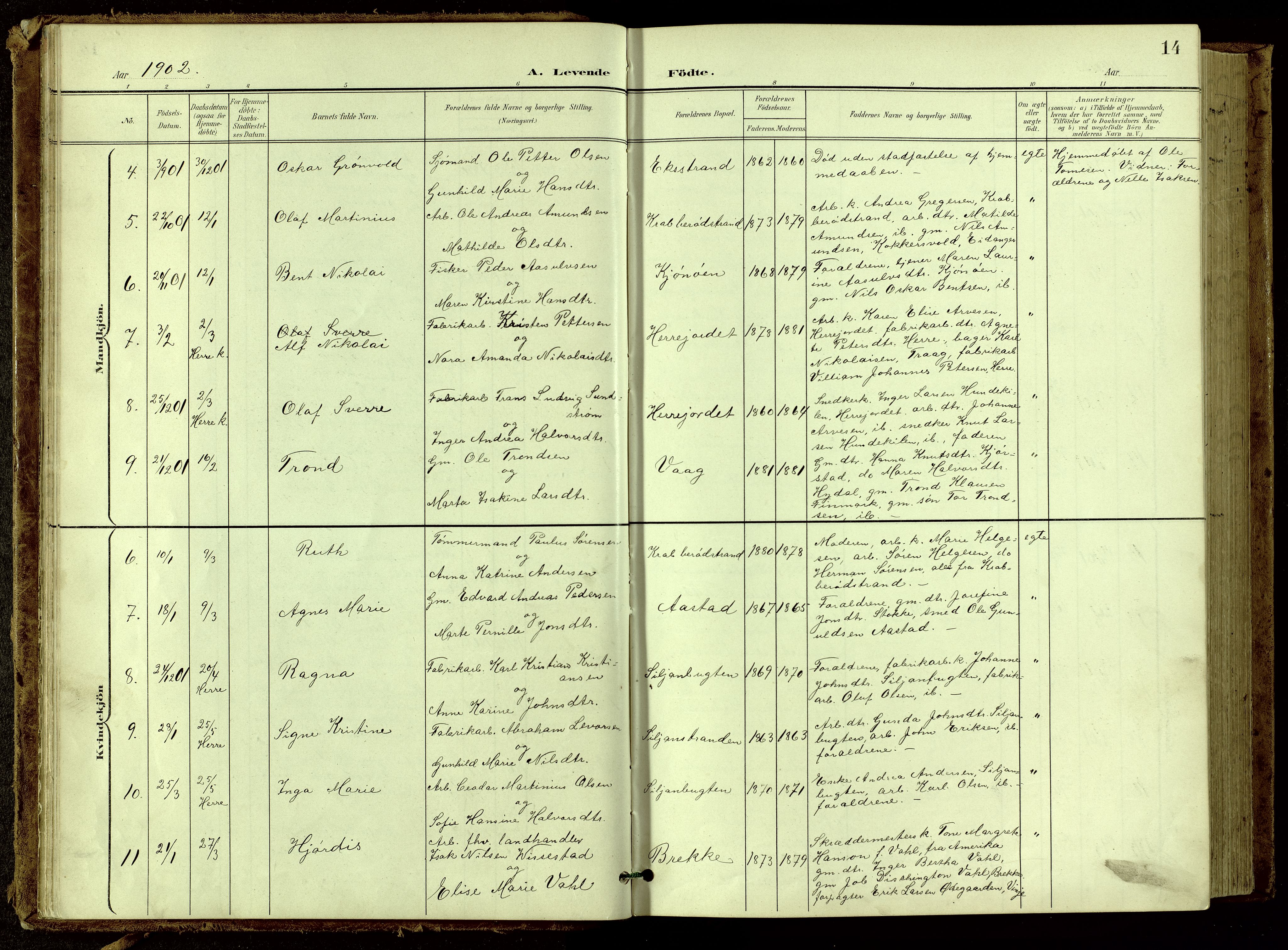 Bamble kirkebøker, SAKO/A-253/G/Ga/L0010: Parish register (copy) no. I 10, 1901-1919, p. 14