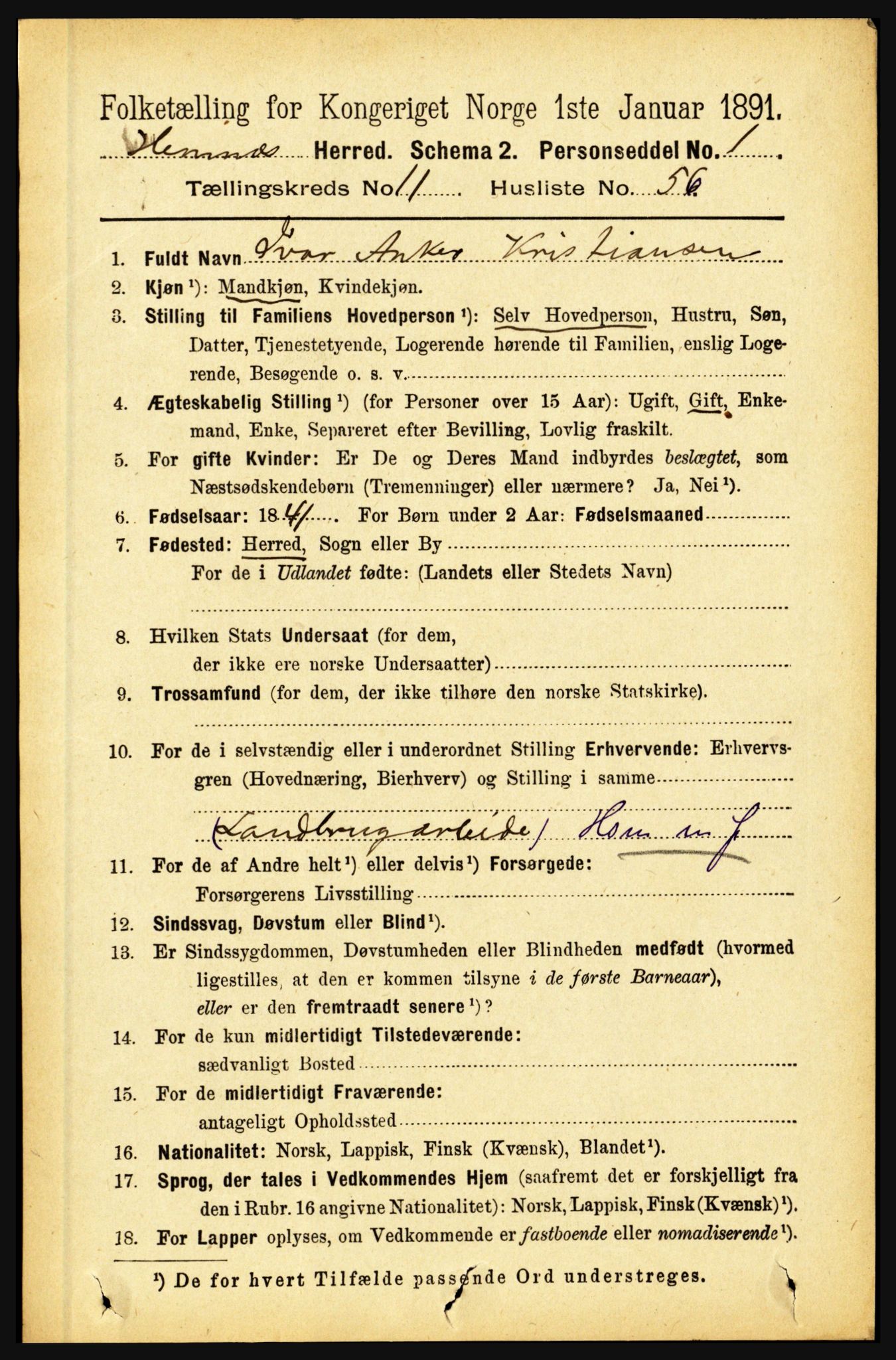 RA, 1891 census for 1832 Hemnes, 1891, p. 5691