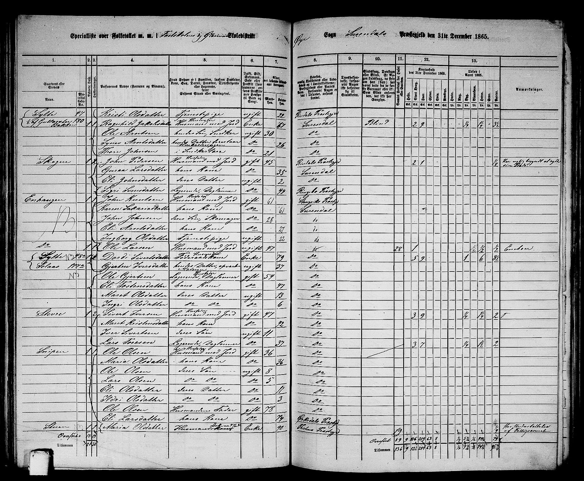 RA, 1865 census for Surnadal, 1865, p. 133