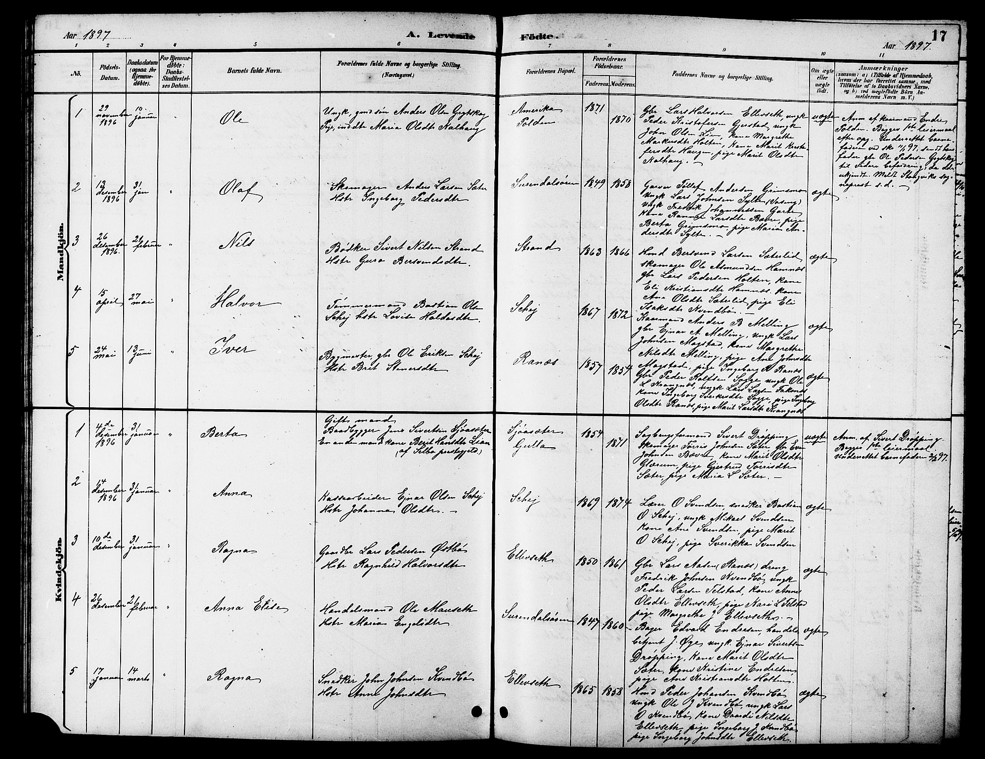 Ministerialprotokoller, klokkerbøker og fødselsregistre - Møre og Romsdal, AV/SAT-A-1454/596/L1058: Parish register (copy) no. 596C01, 1891-1907, p. 17