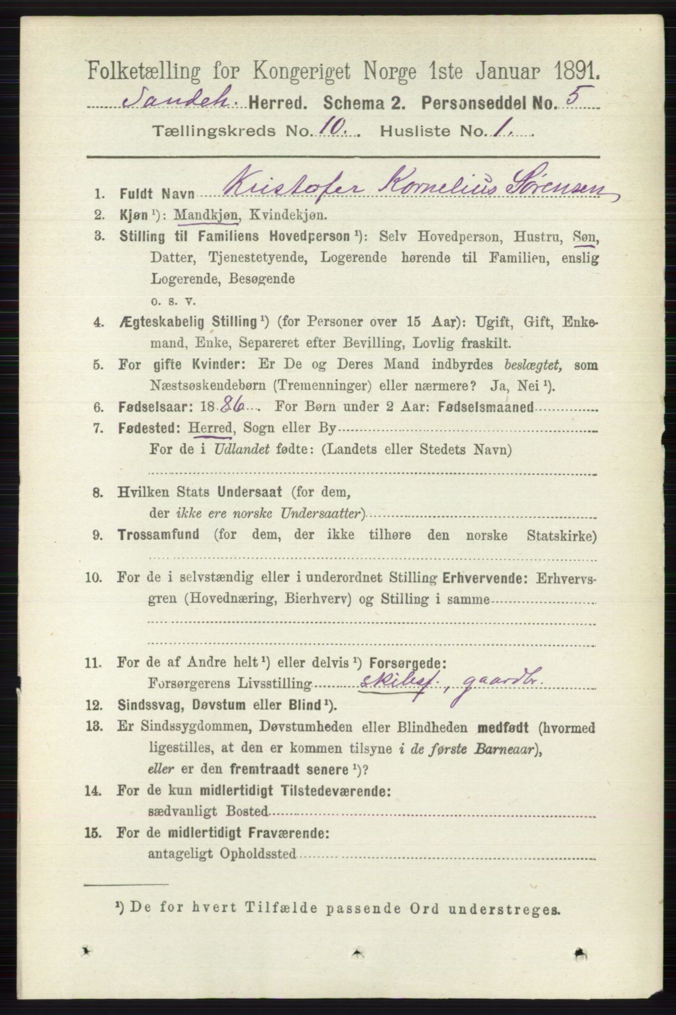 RA, 1891 census for 0724 Sandeherred, 1891, p. 6203