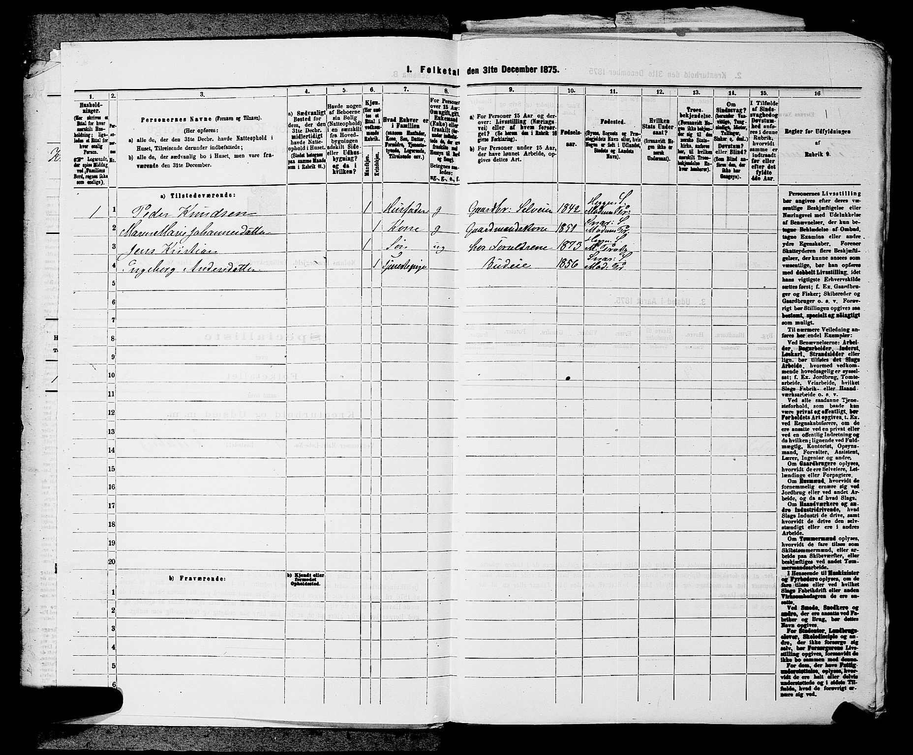 SAKO, 1875 census for 0623P Modum, 1875, p. 1152