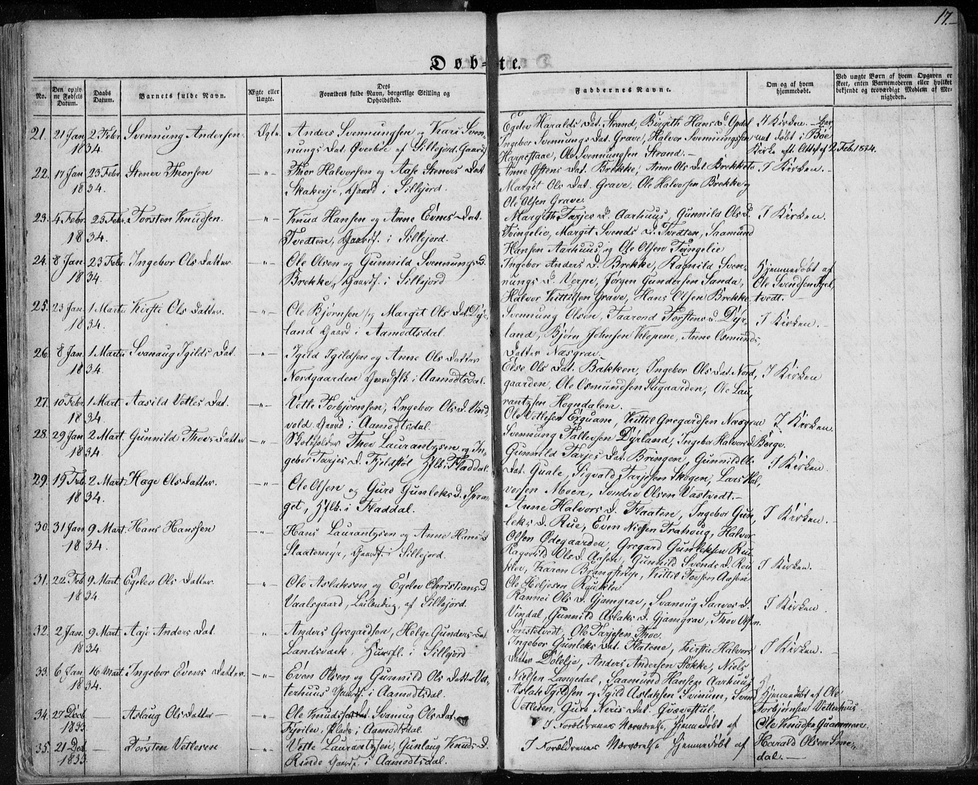 Seljord kirkebøker, AV/SAKO-A-20/F/Fa/L0011: Parish register (official) no. I 11, 1831-1849, p. 17