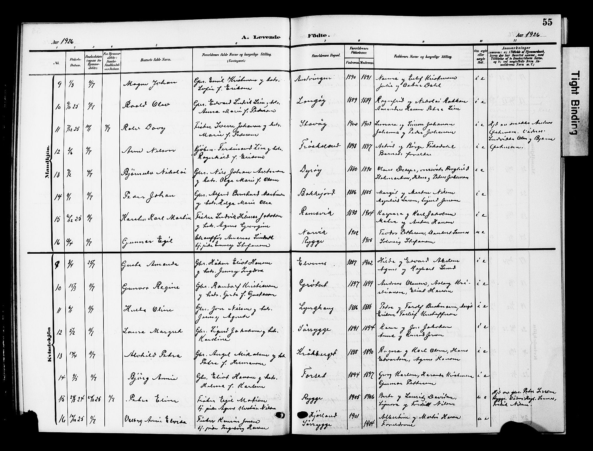 Ministerialprotokoller, klokkerbøker og fødselsregistre - Nordland, AV/SAT-A-1459/893/L1350: Parish register (copy) no. 893C05, 1906-1927, p. 55