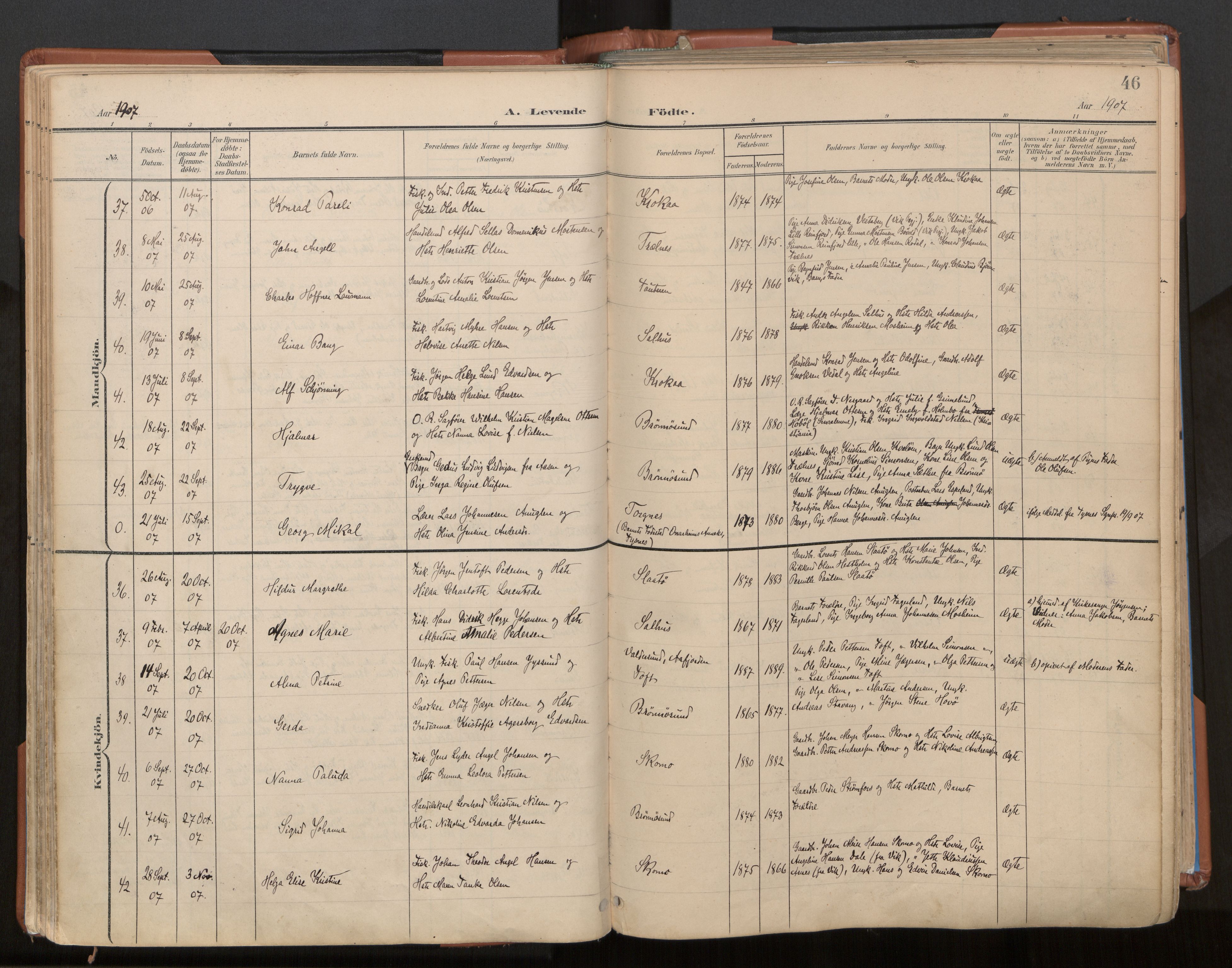 Ministerialprotokoller, klokkerbøker og fødselsregistre - Nordland, SAT/A-1459/813/L0201: Parish register (official) no. 813A11, 1901-1918, p. 46