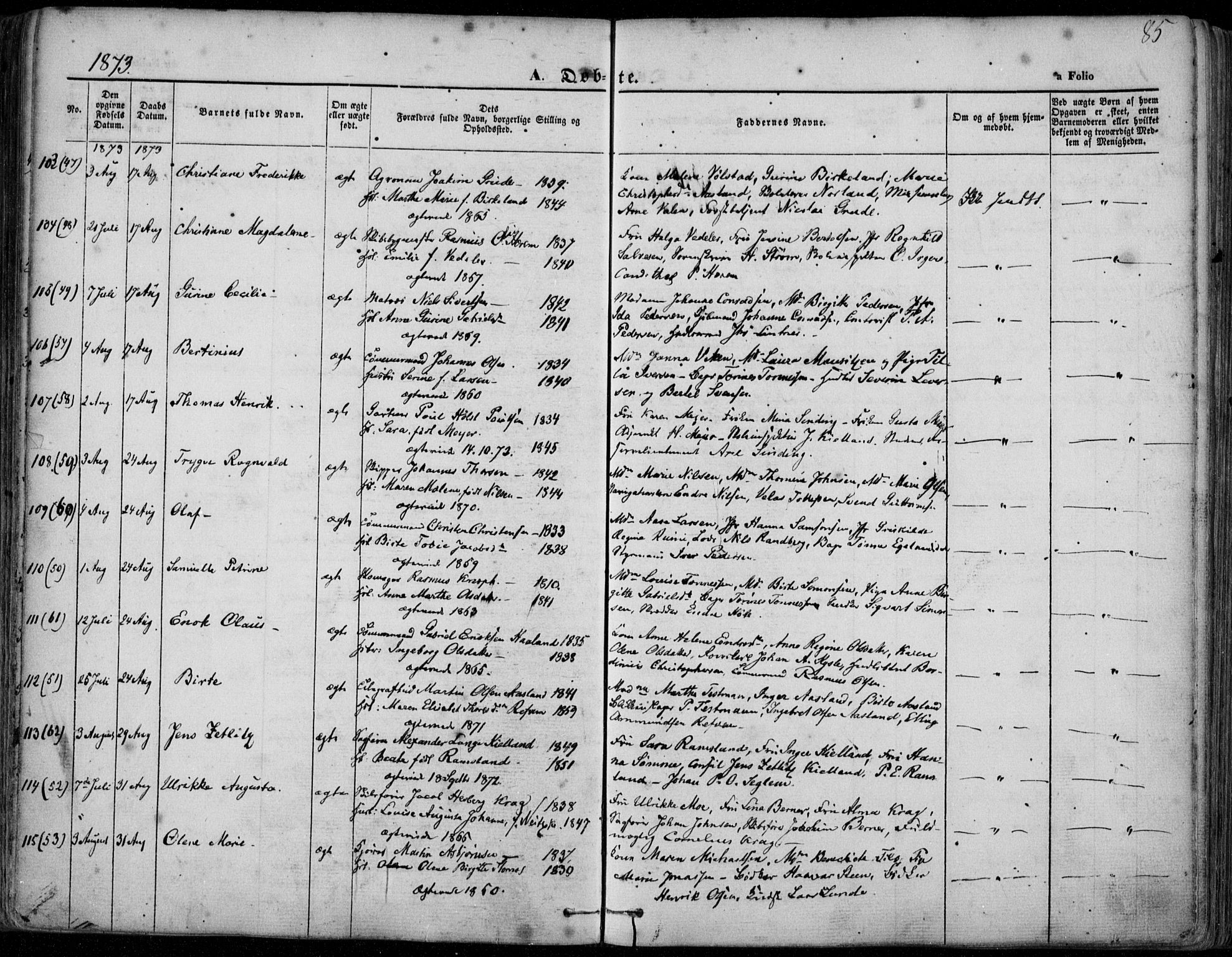 Domkirken sokneprestkontor, SAST/A-101812/001/30/30BA/L0022: Parish register (official) no. A 21, 1868-1877, p. 85
