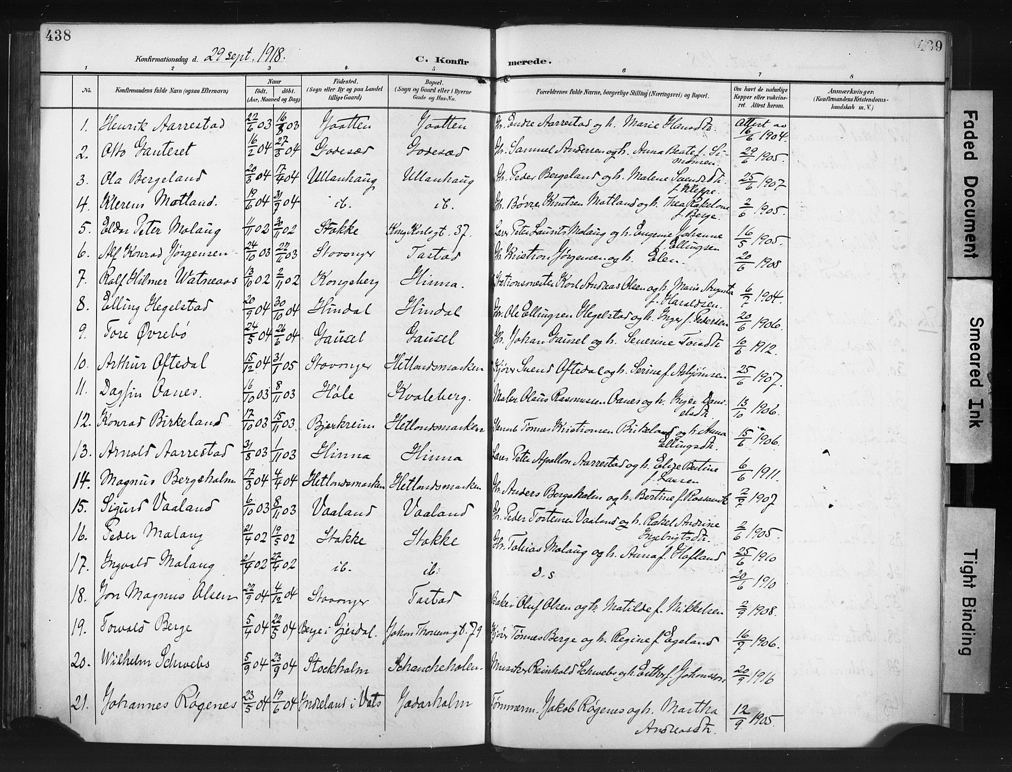 Hetland sokneprestkontor, AV/SAST-A-101826/30/30BA/L0013: Parish register (official) no. A 13, 1904-1918, p. 438-439