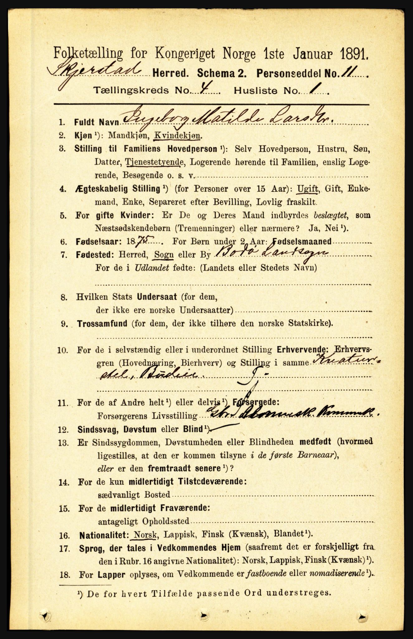 RA, 1891 census for 1842 Skjerstad, 1891, p. 1111