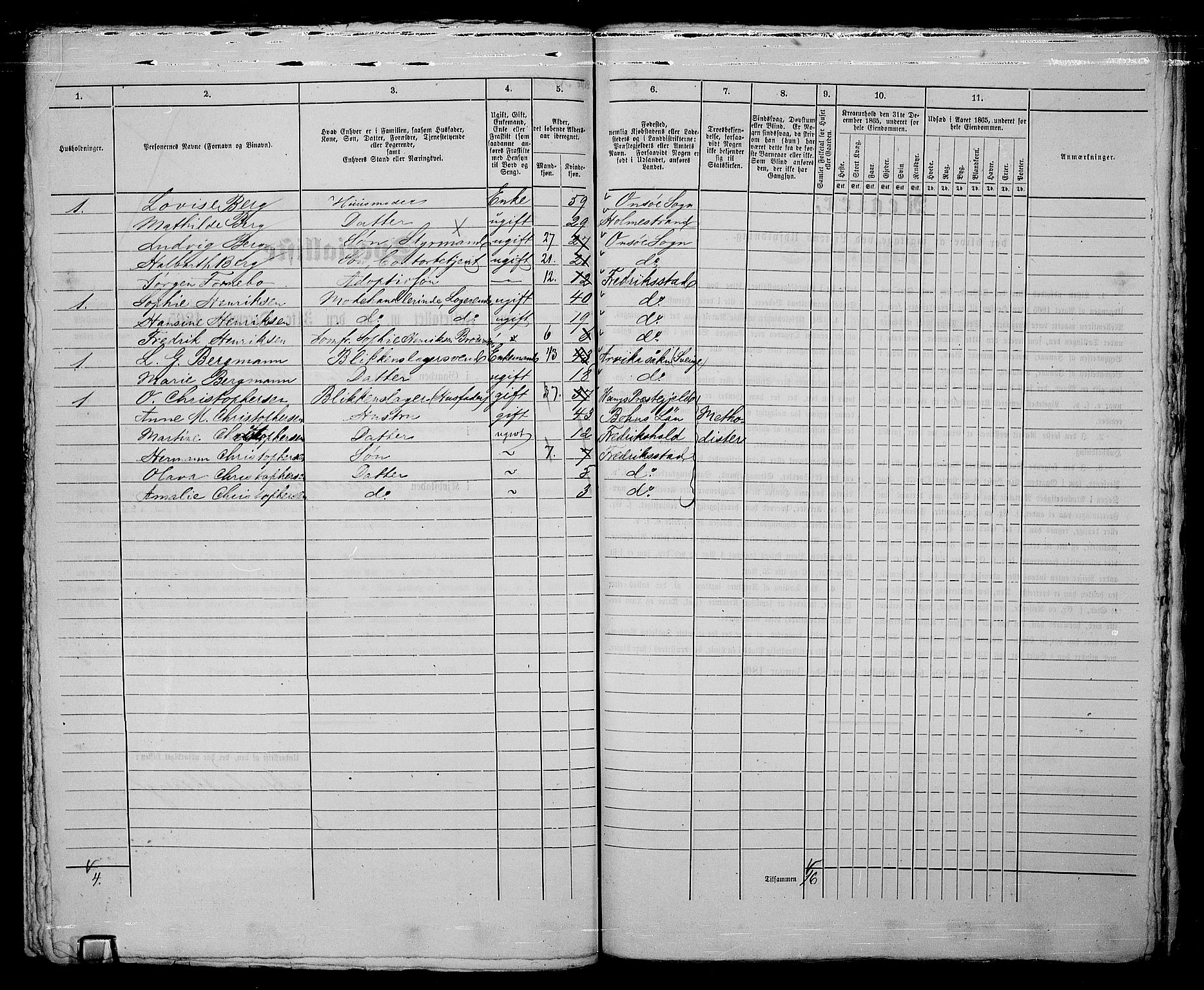 RA, 1865 census for Fredrikstad/Fredrikstad, 1865, p. 387