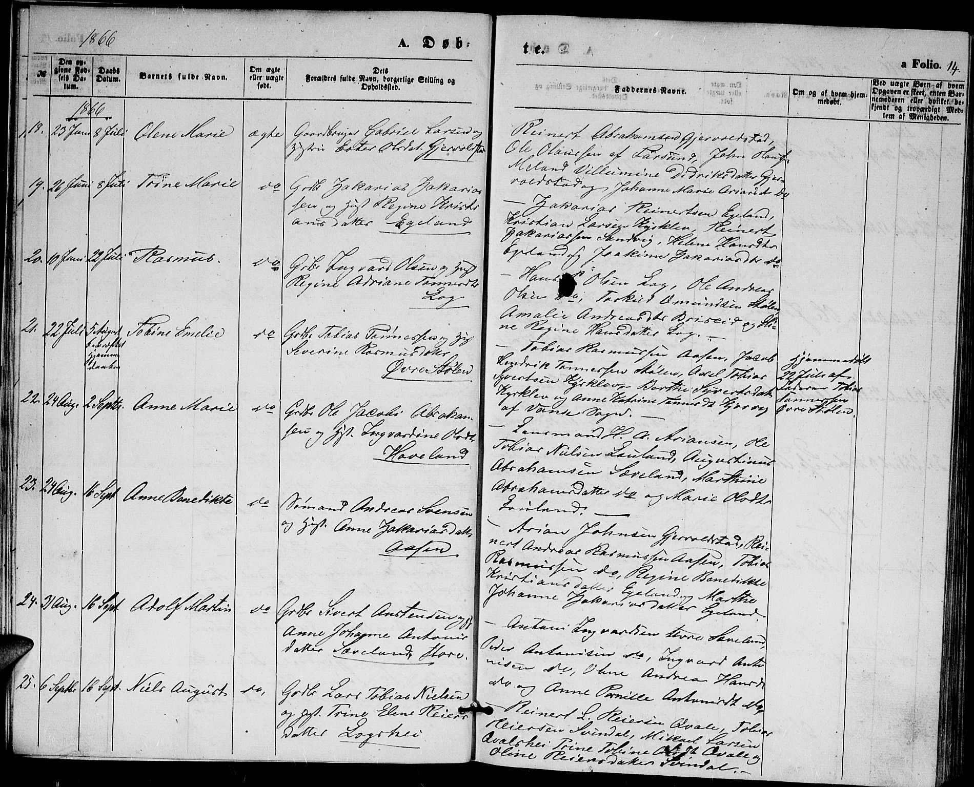 Herad sokneprestkontor, AV/SAK-1111-0018/F/Fb/Fba/L0003: Parish register (copy) no. B 3, 1863-1883, p. 14