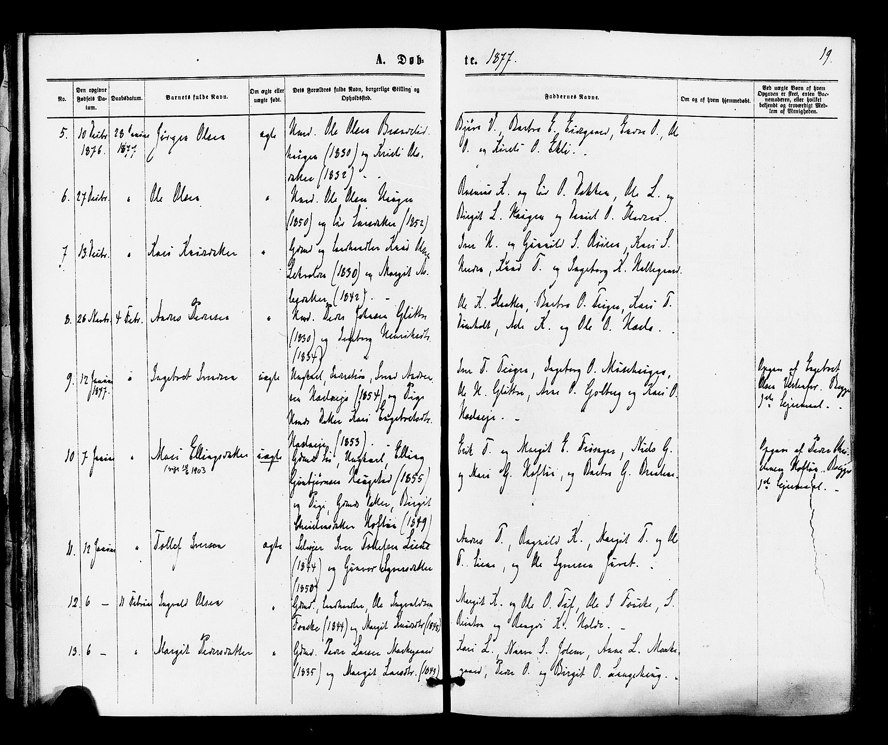 Gol kirkebøker, SAKO/A-226/F/Fa/L0004: Parish register (official) no. I 4, 1876-1886, p. 19