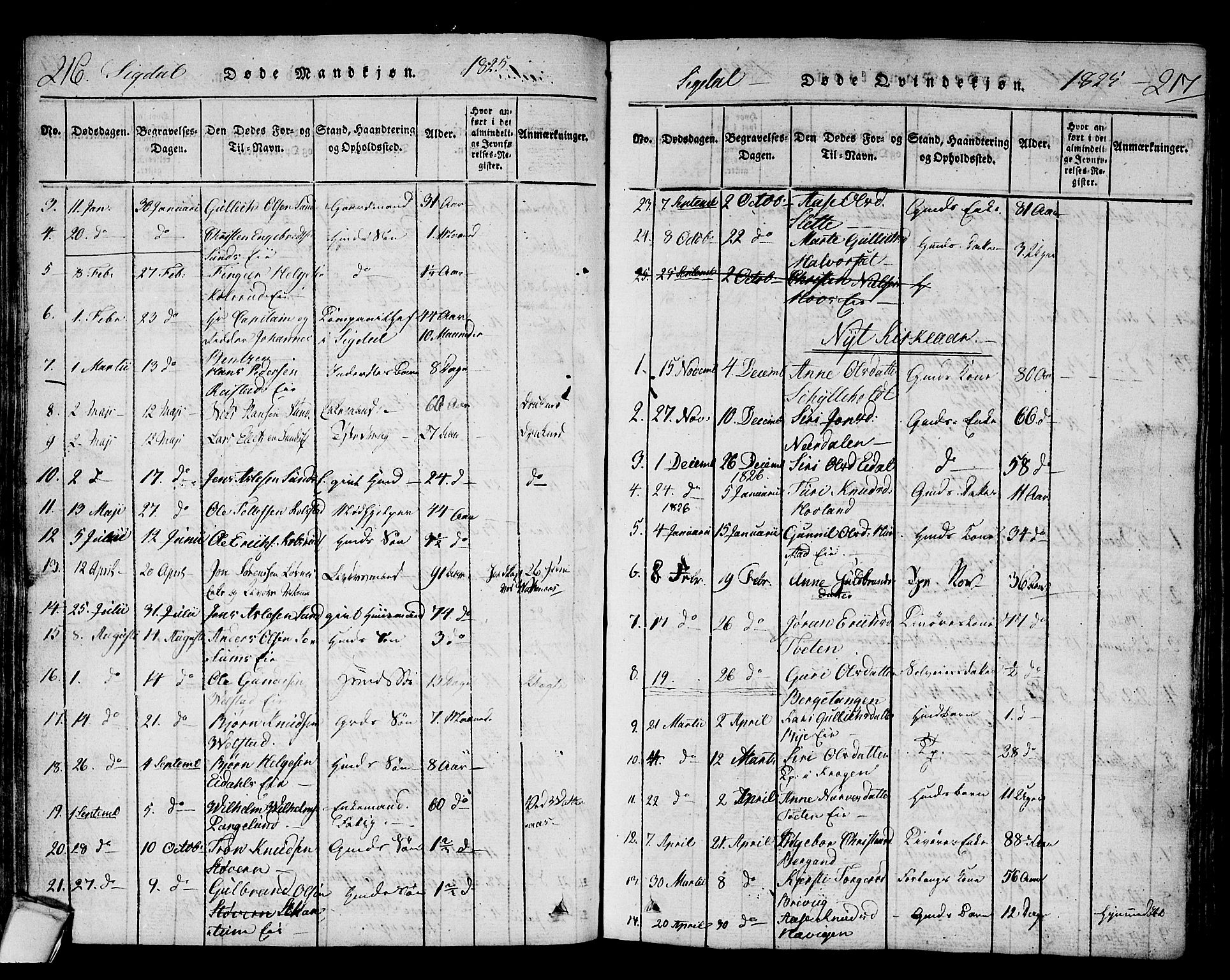 Sigdal kirkebøker, SAKO/A-245/F/Fa/L0005: Parish register (official) no. I 5 /1, 1815-1829, p. 216-217
