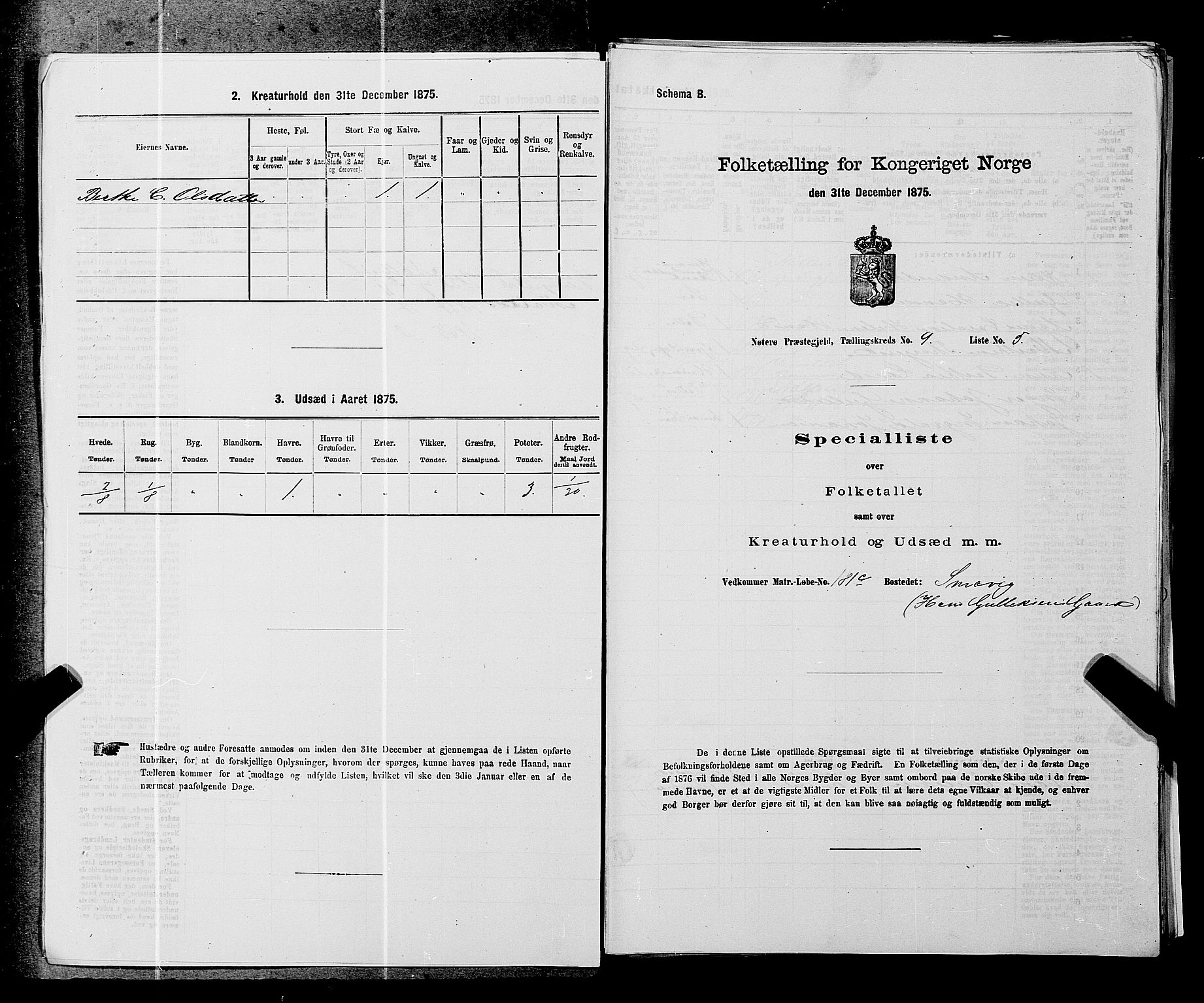 SAKO, 1875 census for 0722P Nøtterøy, 1875, p. 1743