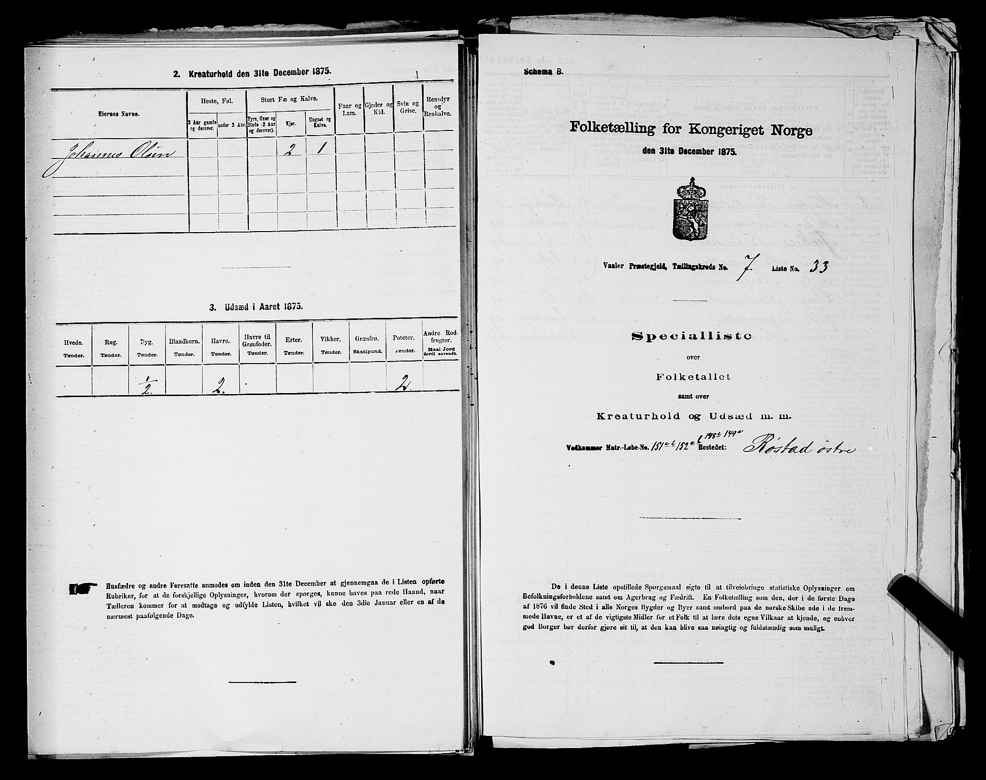 RA, 1875 census for 0137P Våler, 1875, p. 1015