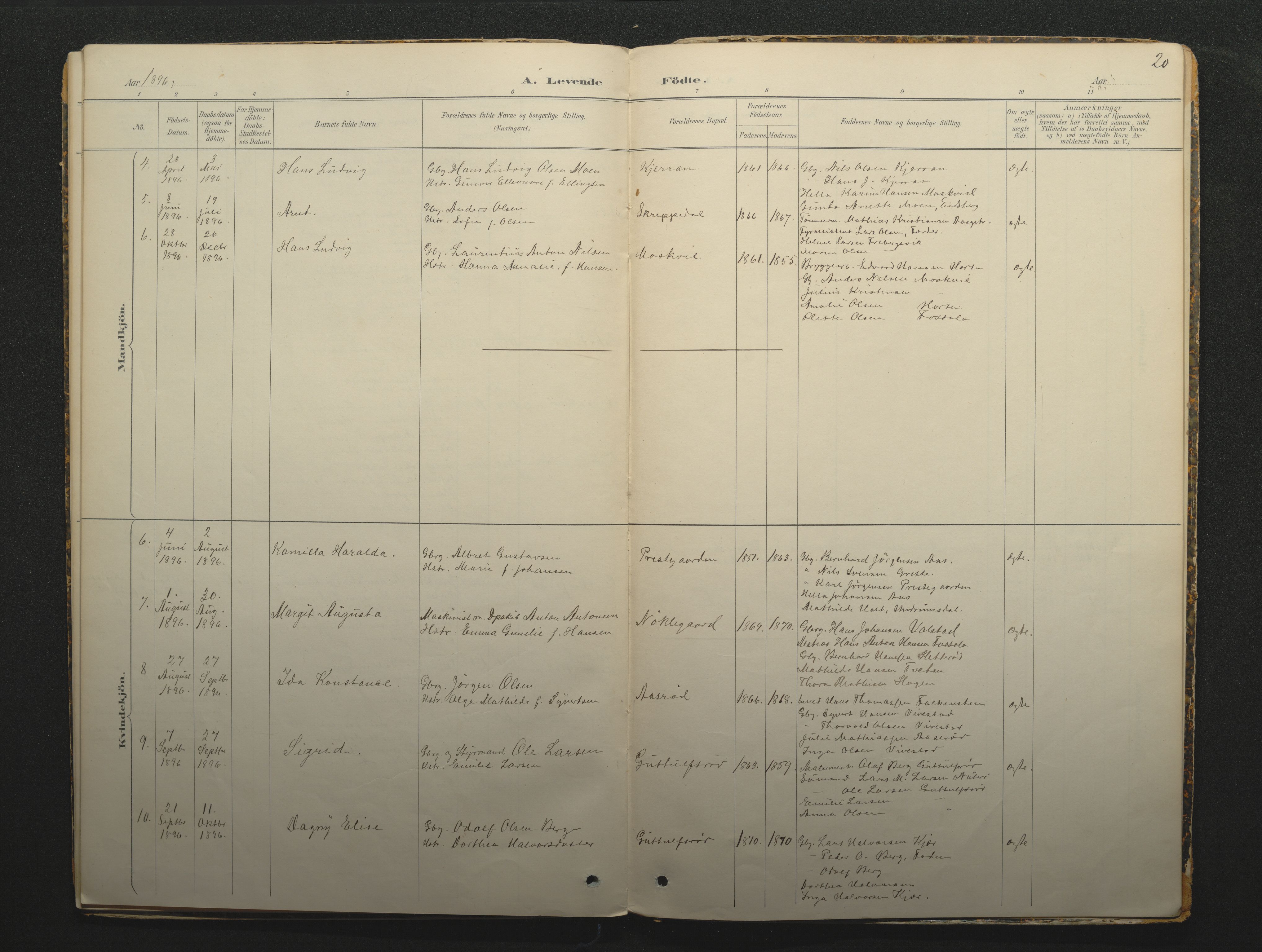 Borre kirkebøker, AV/SAKO-A-338/F/Fc/L0002: Parish register (official) no. III 2, 1888-1896, p. 20