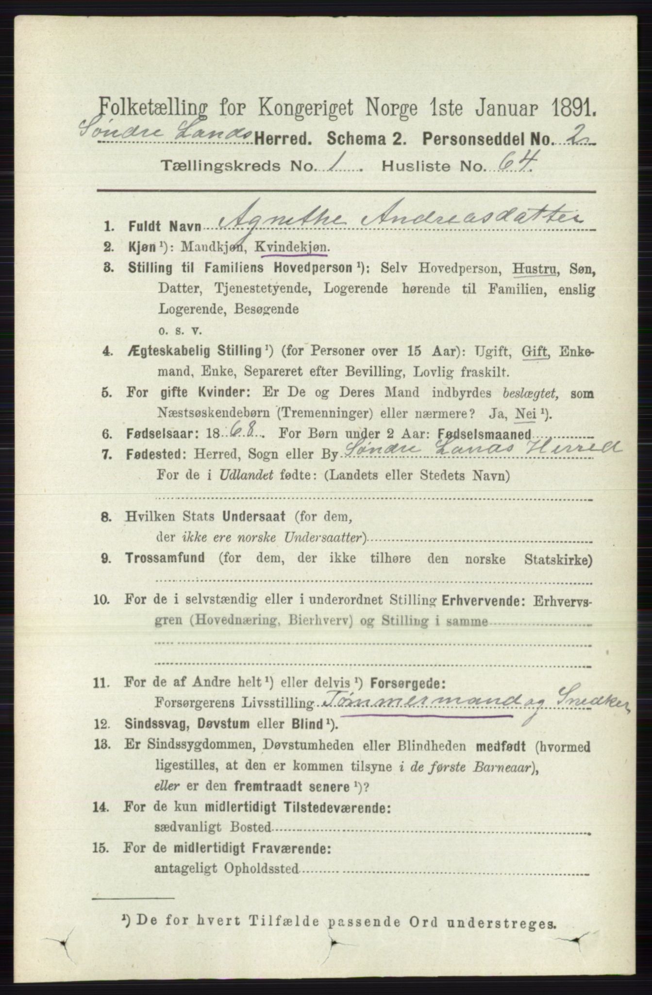 RA, 1891 census for 0536 Søndre Land, 1891, p. 581