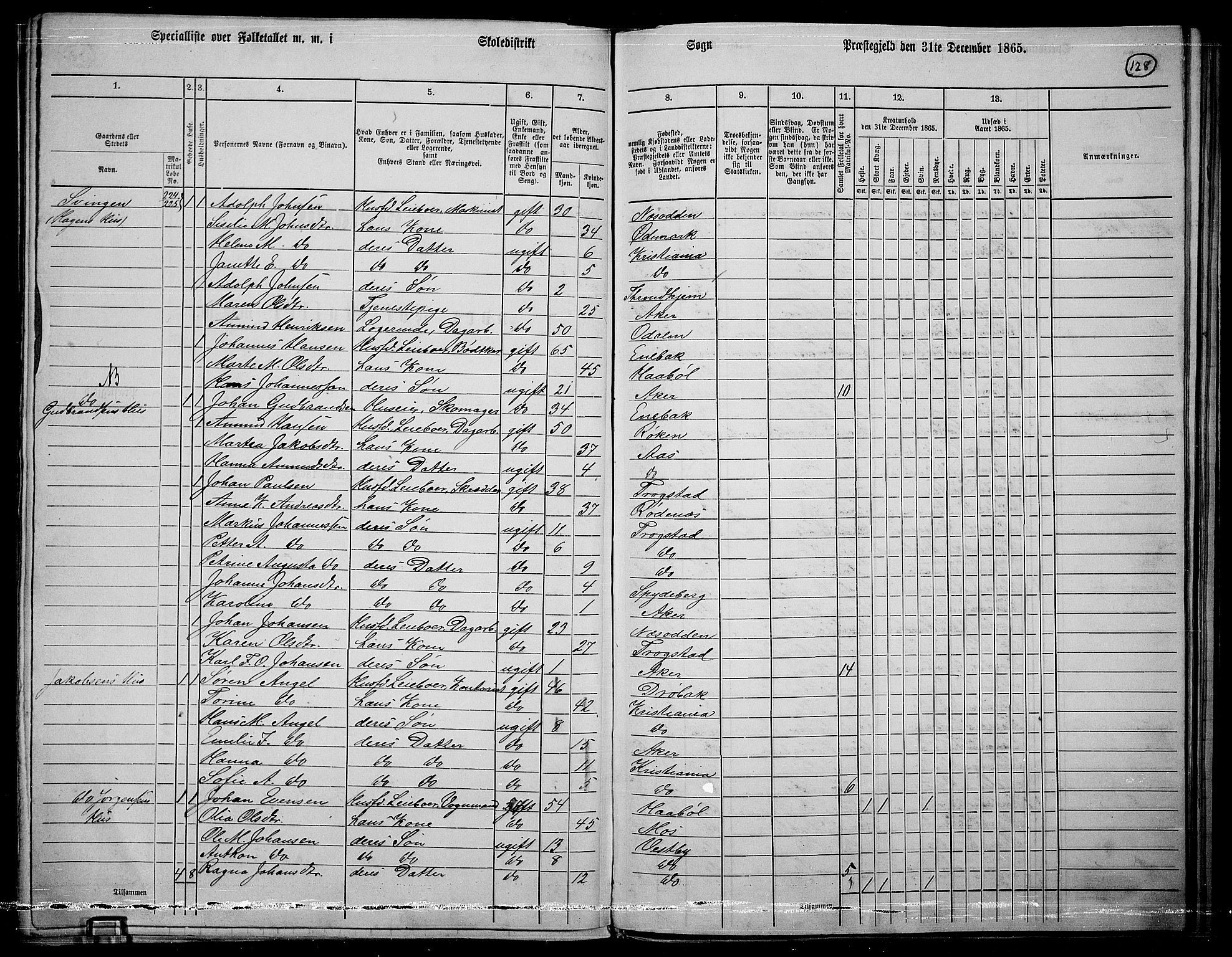 RA, 1865 census for Østre Aker, 1865, p. 349