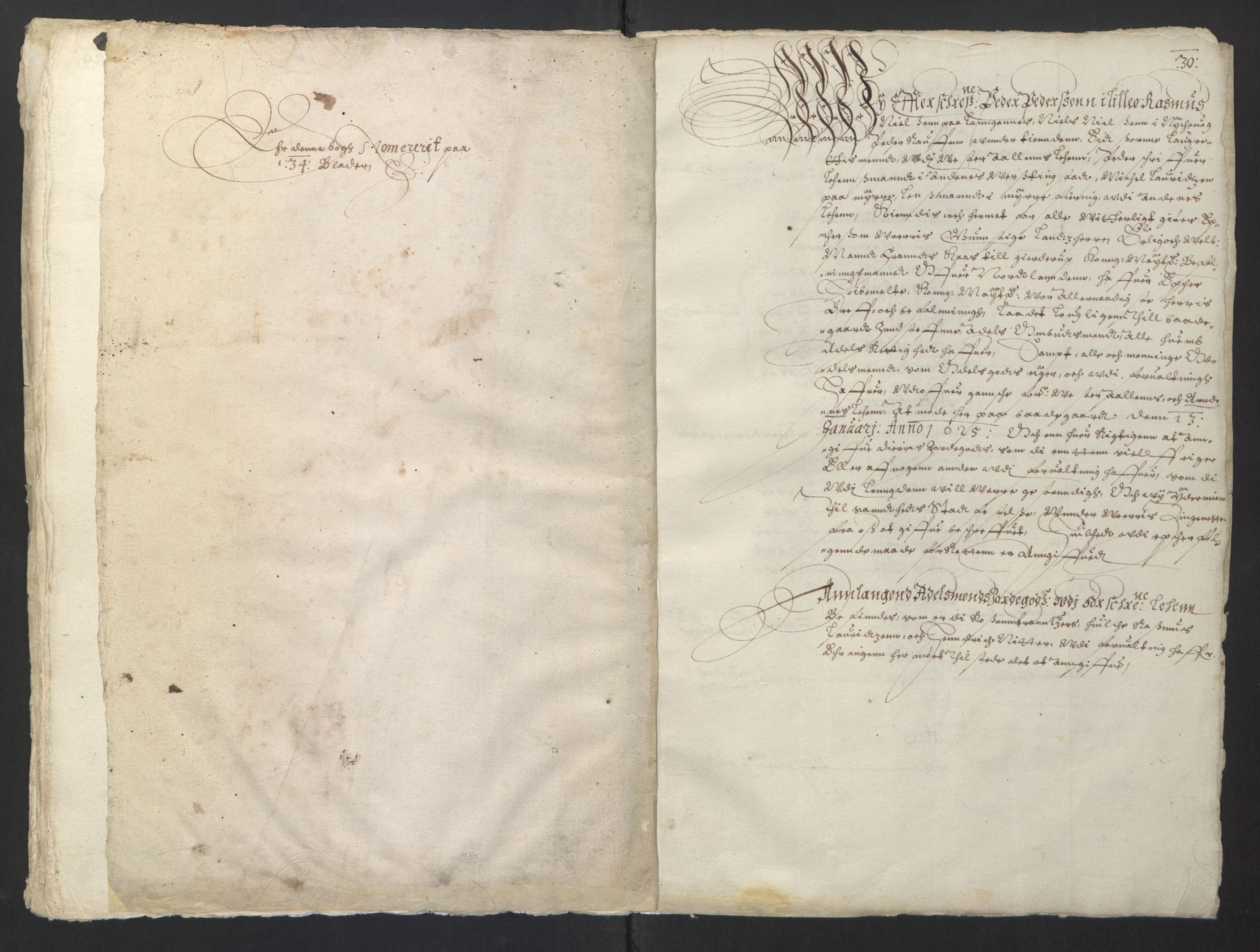 Stattholderembetet 1572-1771, AV/RA-EA-2870/Ek/L0013/0002: Jordebøker til utlikning av rosstjeneste 1624-1626: / Adels- og odelsjordebok for de nordlandske len, 1625, p. 34