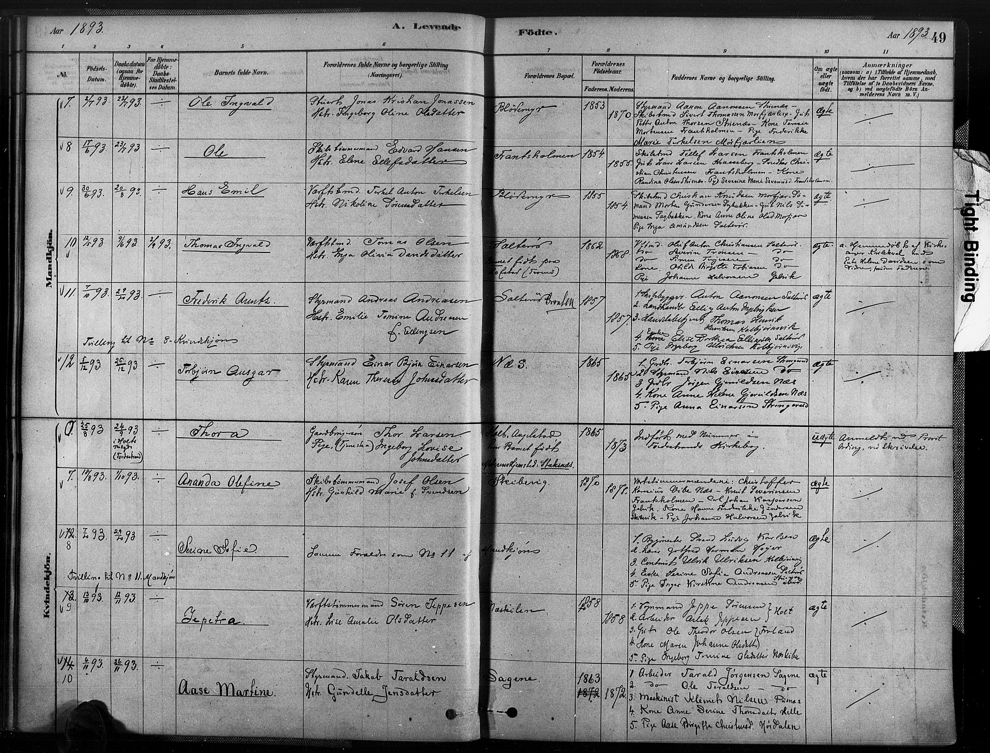 Austre Moland sokneprestkontor, SAK/1111-0001/F/Fa/Fab/L0001: Parish register (official) no. A 1, 1878-1898, p. 49