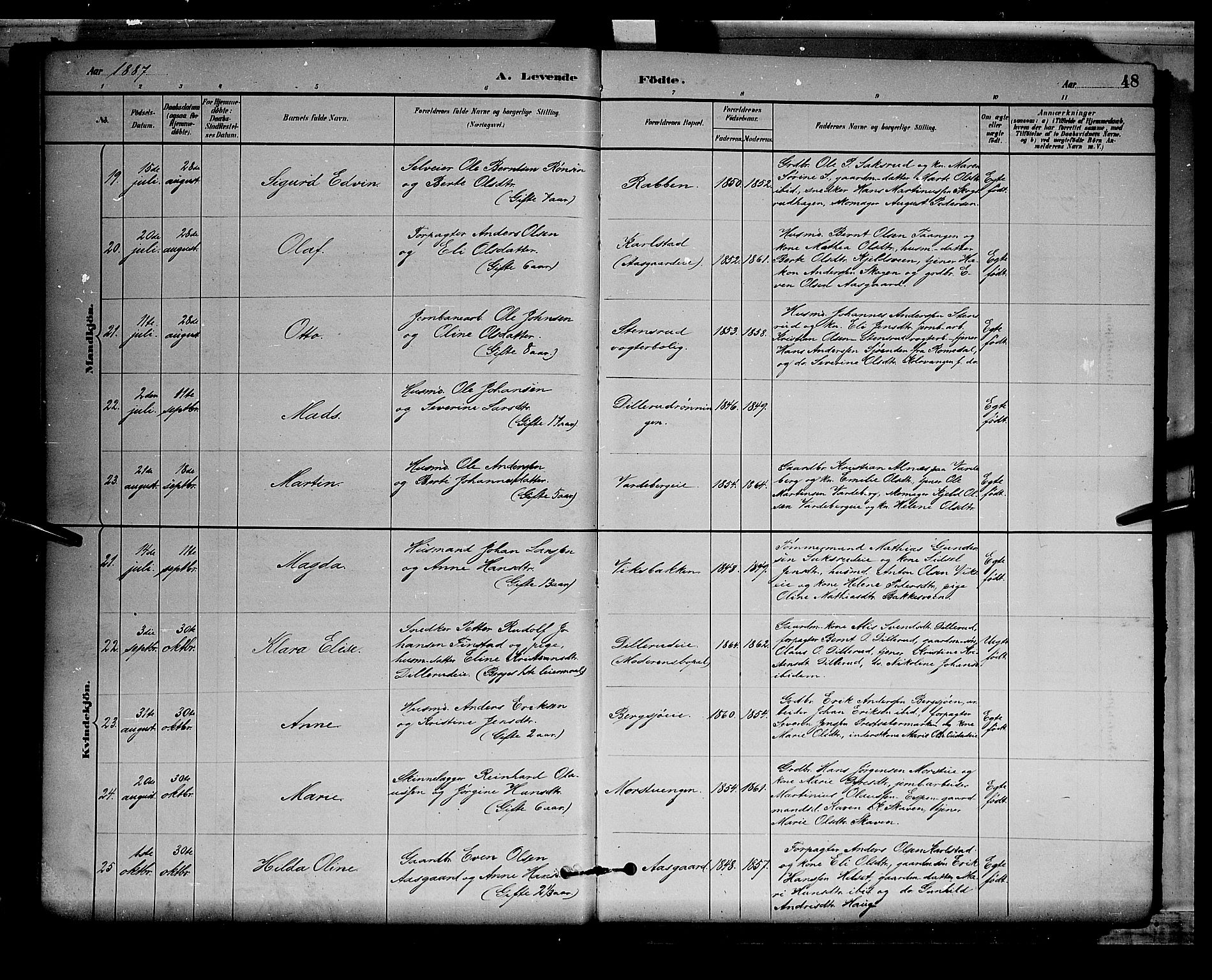 Stange prestekontor, AV/SAH-PREST-002/L/L0008: Parish register (copy) no. 8, 1882-1895, p. 48