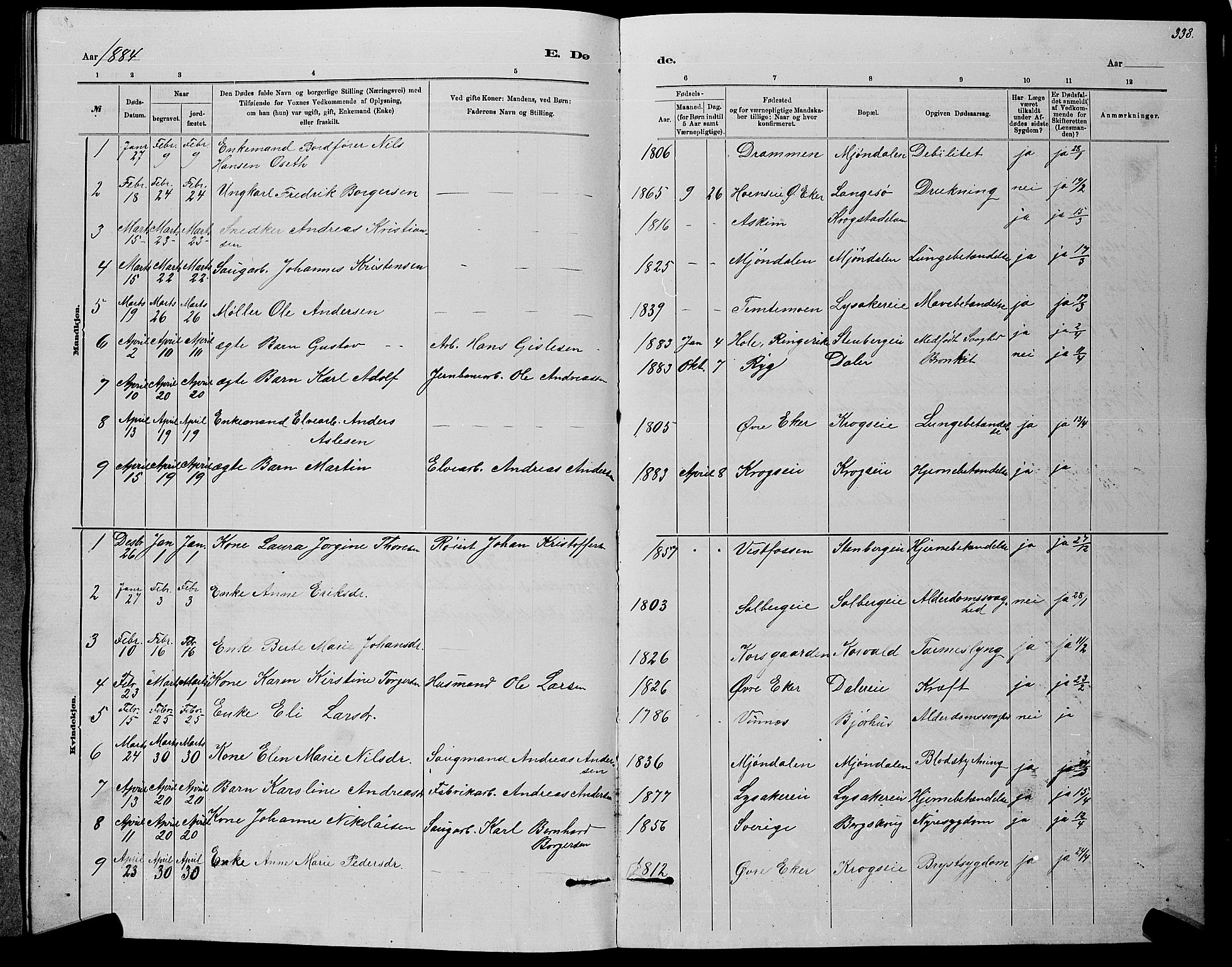 Nedre Eiker kirkebøker, AV/SAKO-A-612/G/Ga/L0002: Parish register (copy) no. 2, 1880-1896, p. 338