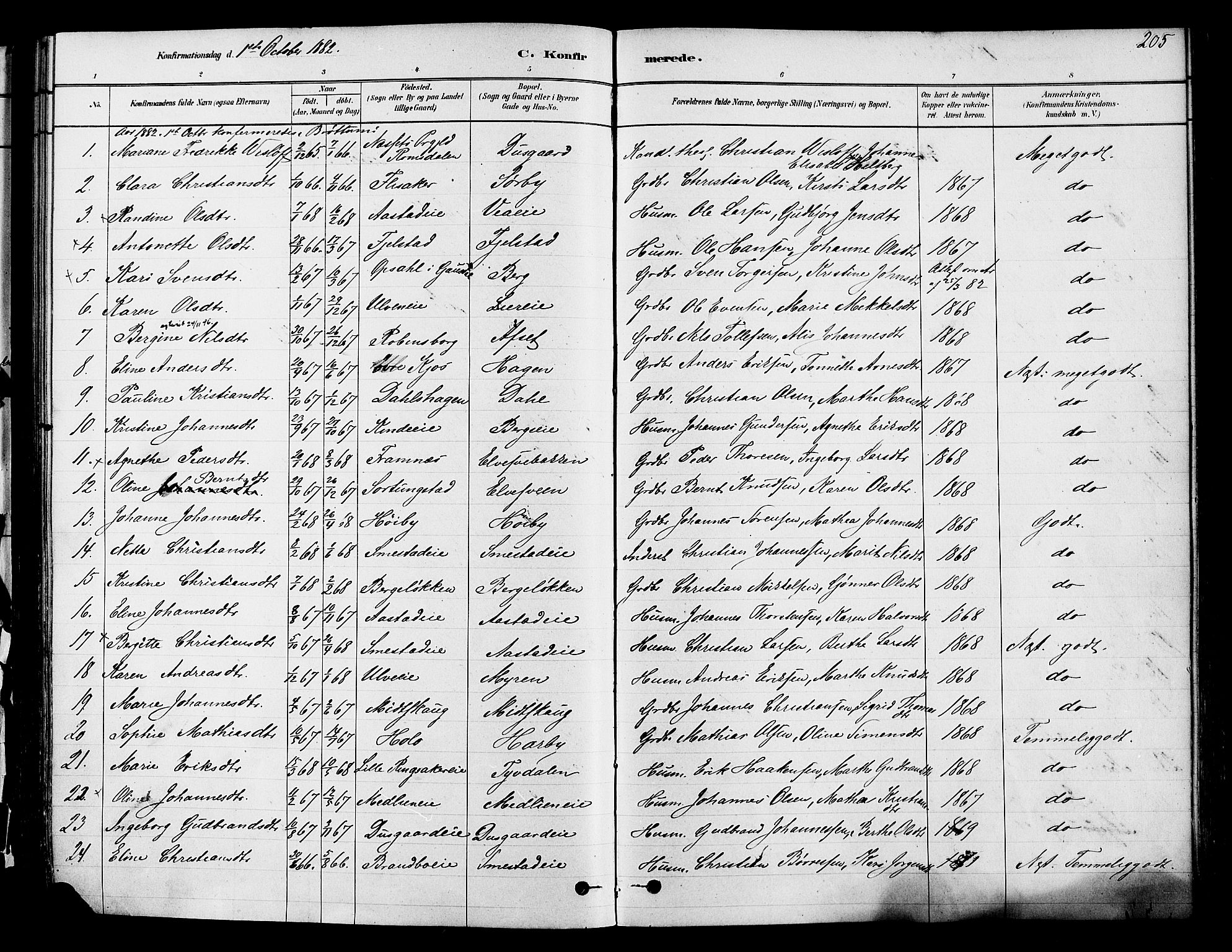 Ringsaker prestekontor, SAH/PREST-014/K/Ka/L0012: Parish register (official) no. 12, 1879-1890, p. 205