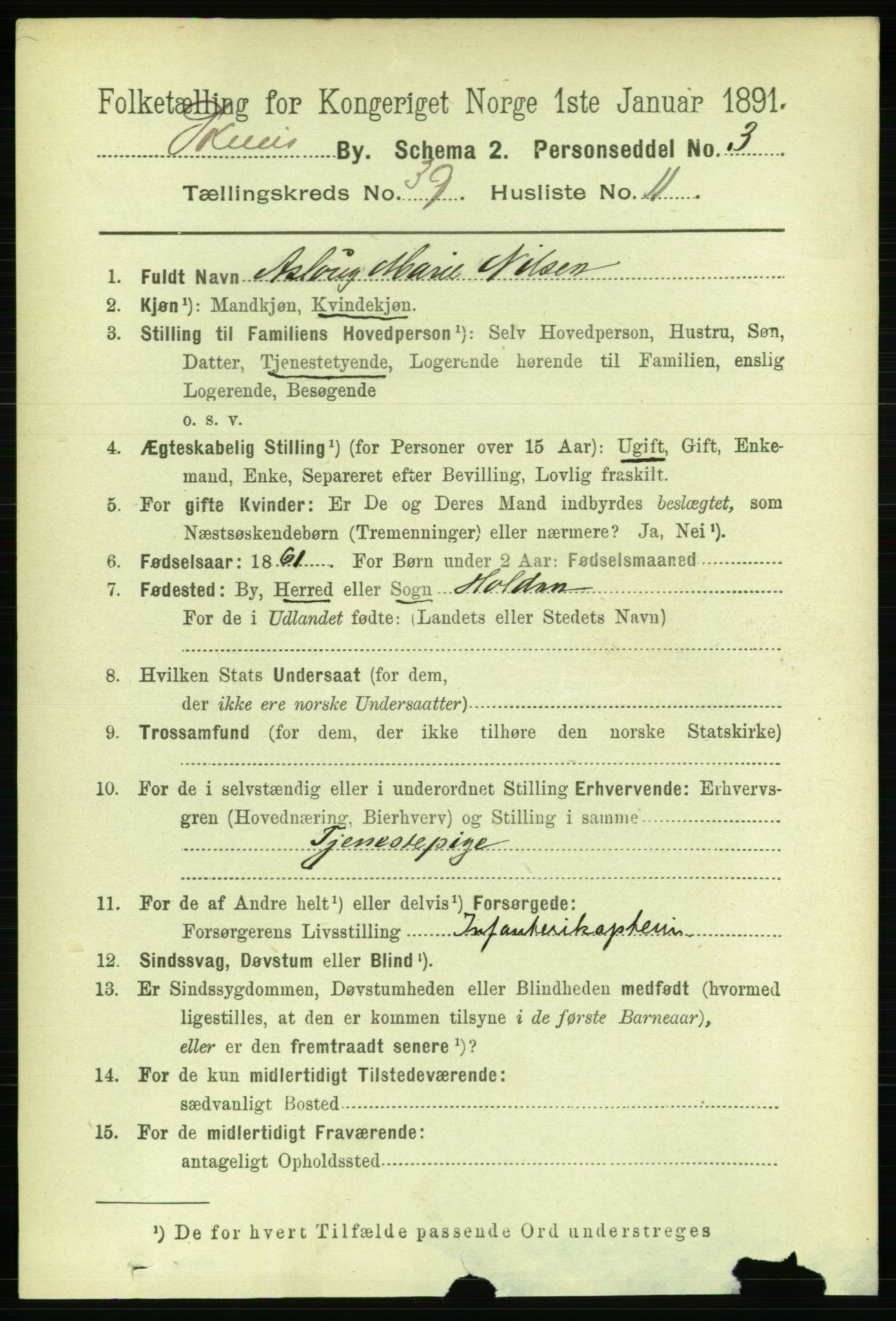 RA, 1891 census for 0806 Skien, 1891, p. 8349