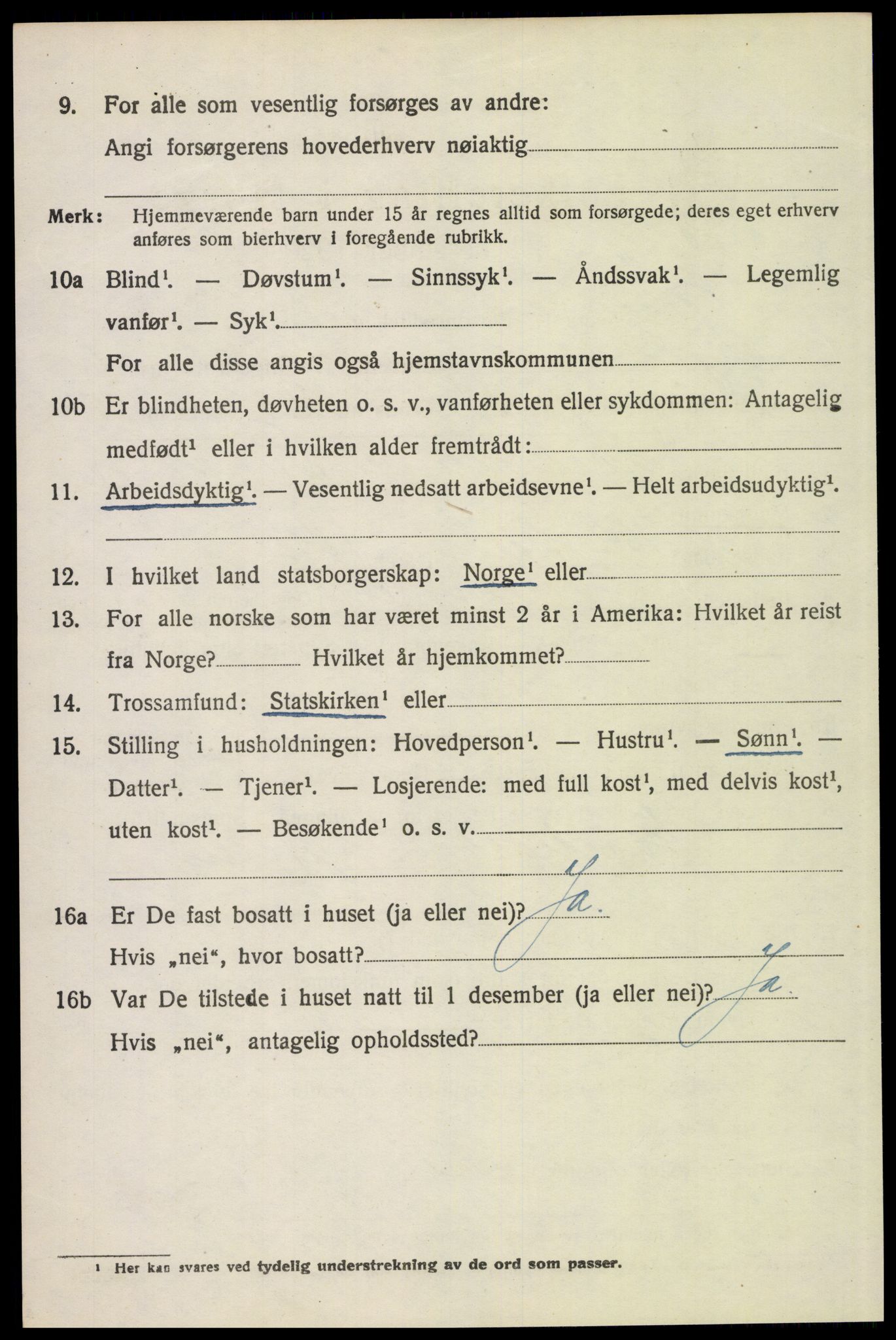 SAH, 1920 census for Tynset, 1920, p. 1541