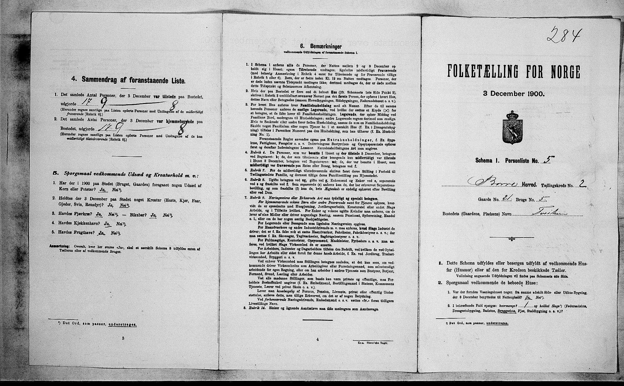 RA, 1900 census for Borre, 1900, p. 270